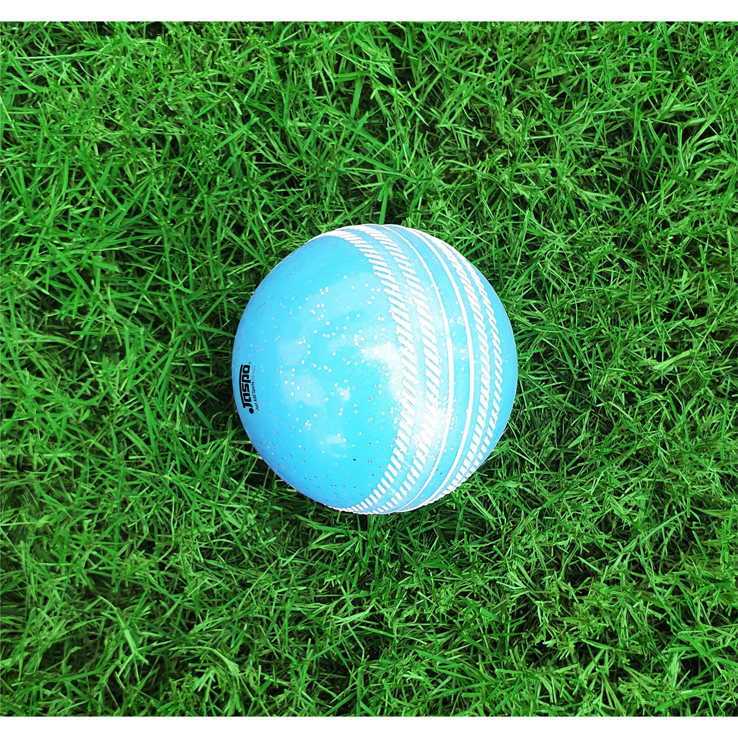 jaspo Cricket PVC Material Ball for Practice Training Matches for All Age Group (Sparkle Ball) Colour -Blue & Pink (Pack of 2)