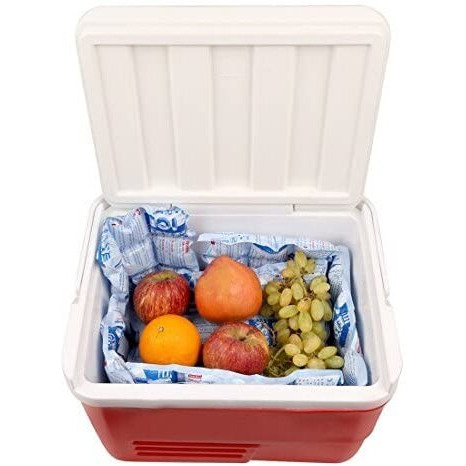 Easy Ice Cooler Chiller for Ice box. Flexible even after freezing, compact & space saving. Reusable for years. Pack of 3 sheets each 10 x 7 inch.