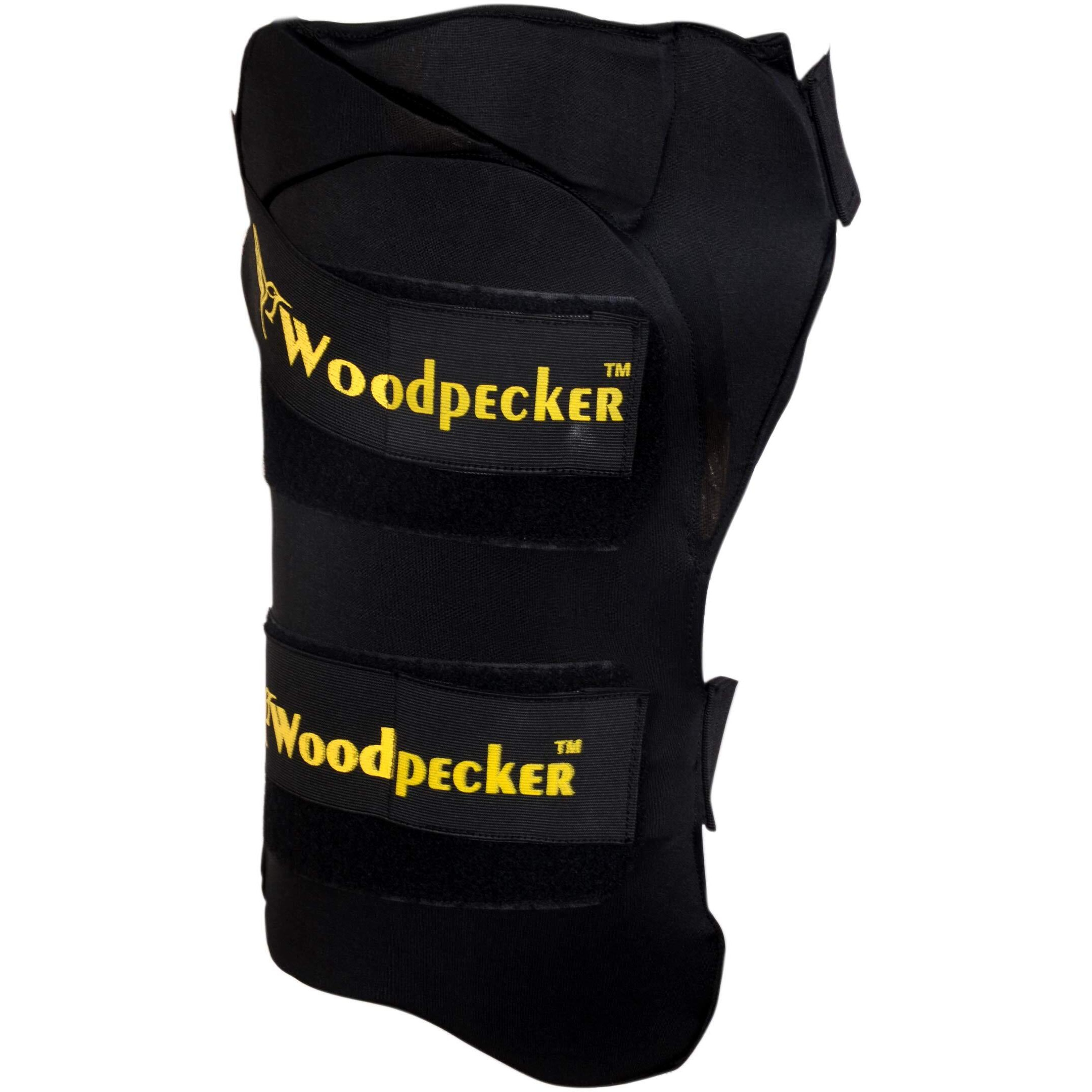 Woodpecker Left Hand Thigh Guard for Cricket,Thigh pad (Black, Small)
