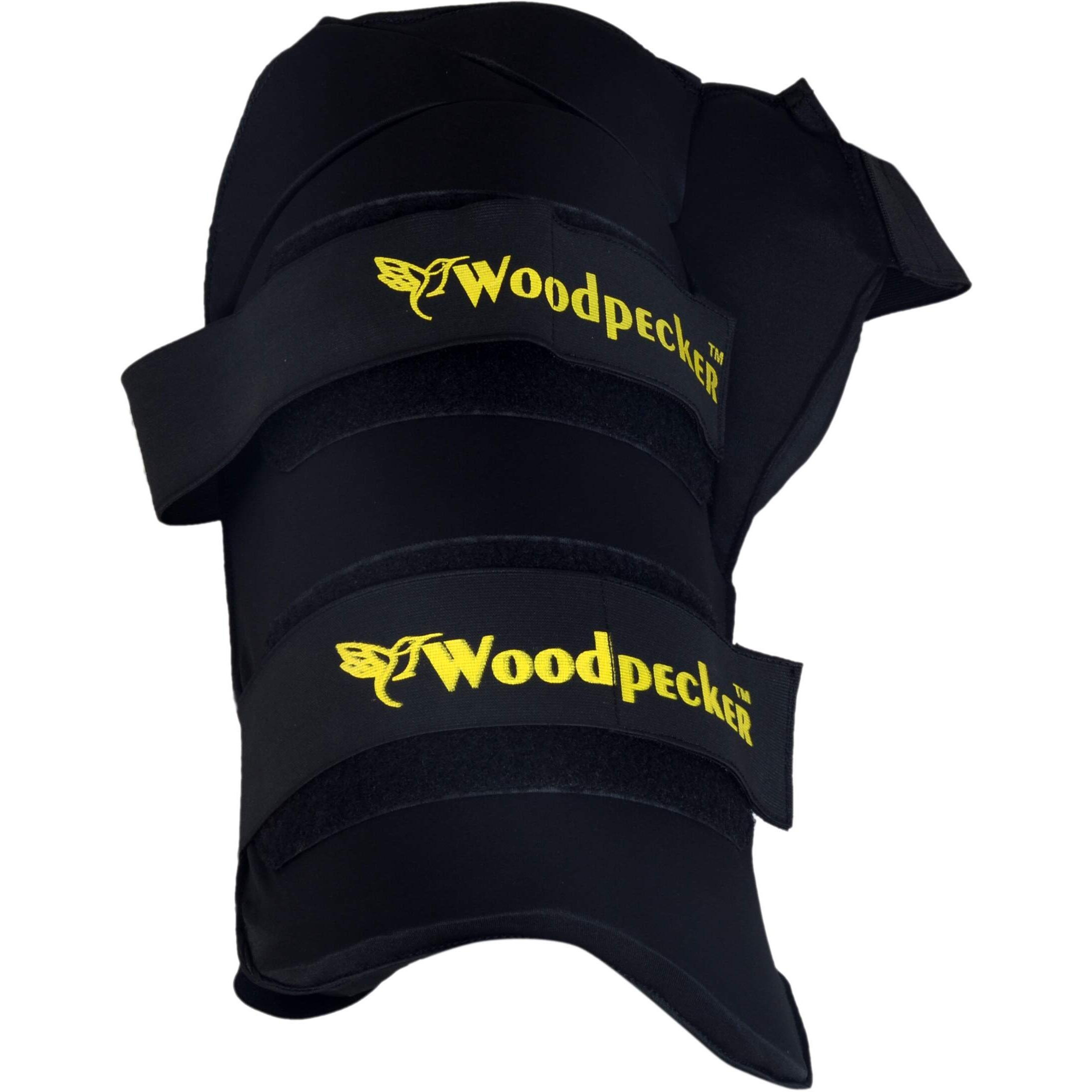 Woodpecker Left Hand Thigh Guard for Cricket,Thigh pad (Black, Small)