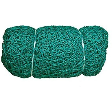 EasyShoppingBazaar Cricket Practice Net Sports Net Ground Net  Green 44mm Hole with Cable Ties - 10 x 8 FT - 3mm Thickness