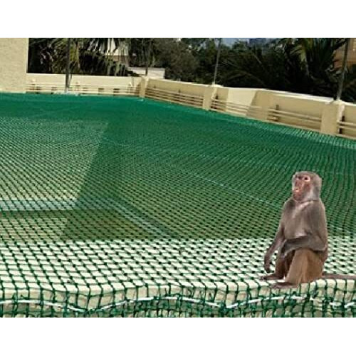 EasyShoppingBazaar Cricket Practice Net Sports Net Ground Net  Green 44mm Hole with Cable Ties - 10 x 8 FT - 3mm Thickness