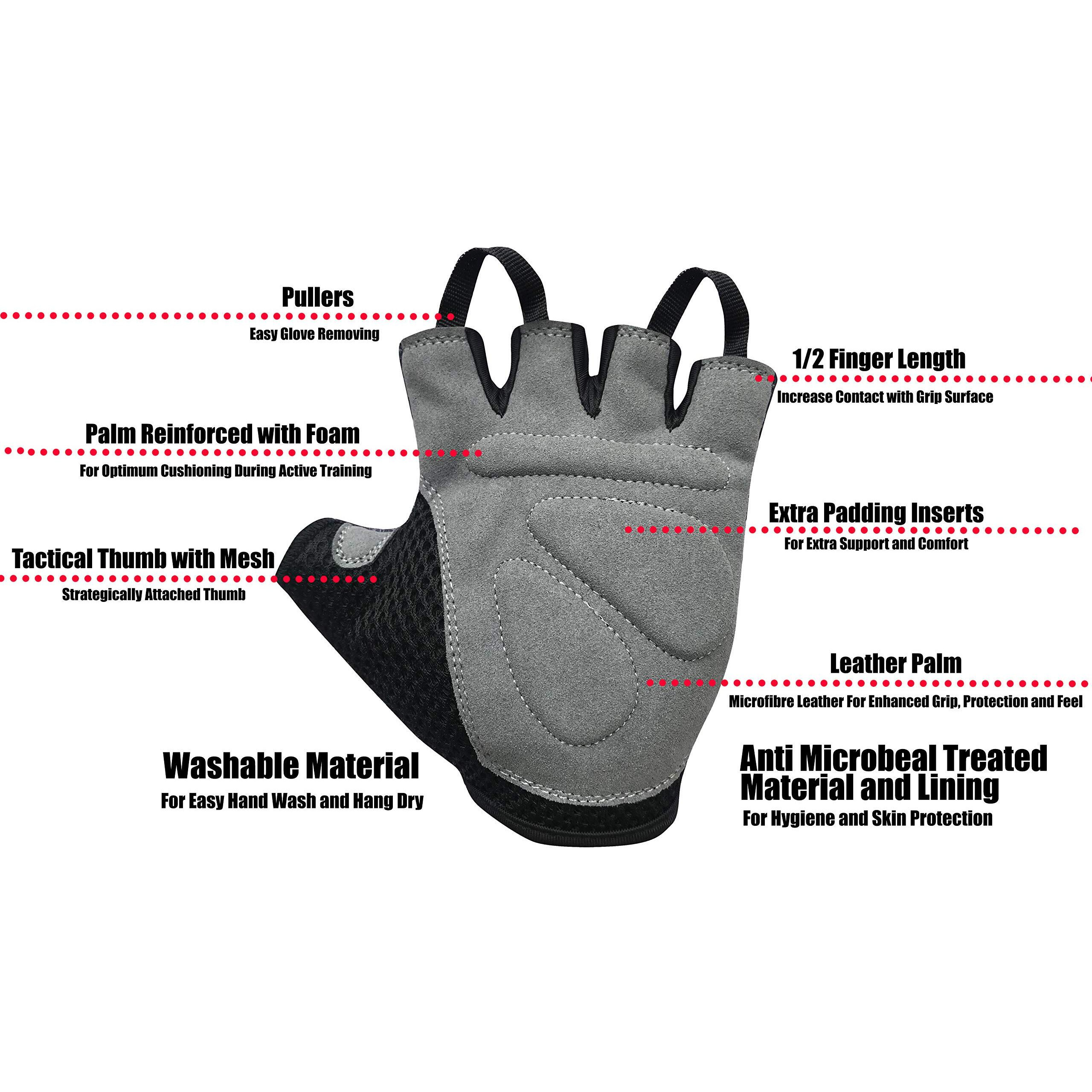 Kobo WTG-27-SMALL Lycra-Spandex Weight Lifting Gym GlovesSmall (Multicolour)