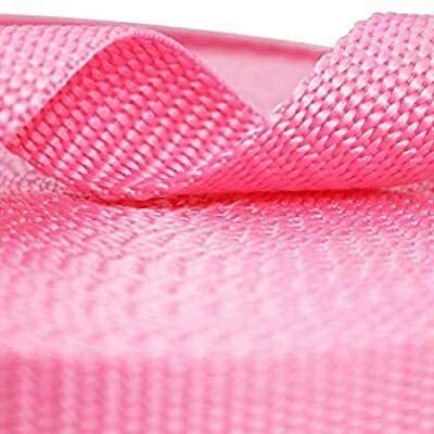 Packard - 10 mt Nylon Canvas Webbing 1-inch Wide for Collars, Leashes, Diving Gear, Sports Gear, Bag Belt, Hiking (Bubble Gum Pink, 10 Meter)