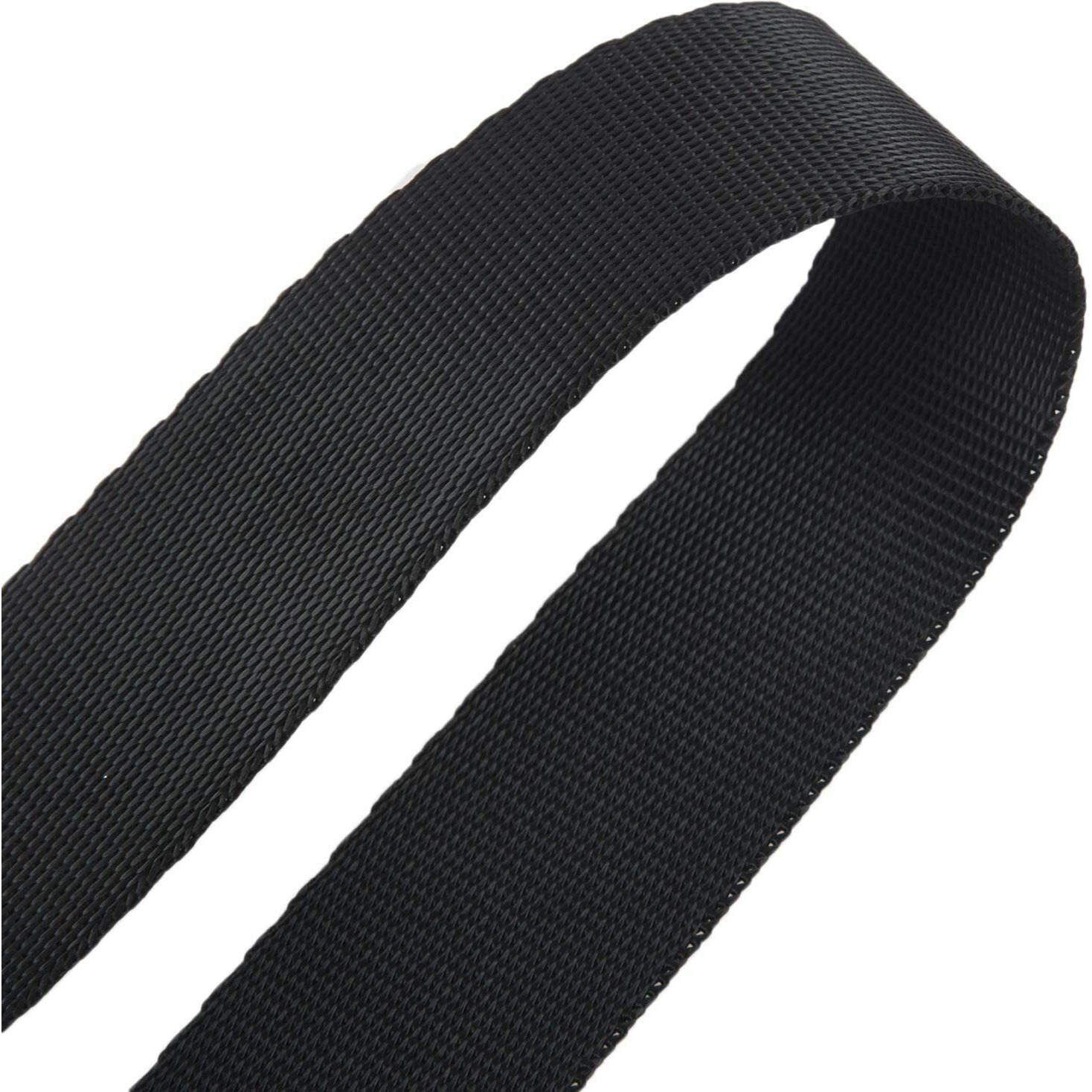 Packard 10 Meter Nylon Canvas Webbing 1-inch Wide for Collars, Leashes, Diving Gear, Sports Gear, Bag Belt, Hiking (10 Meter)