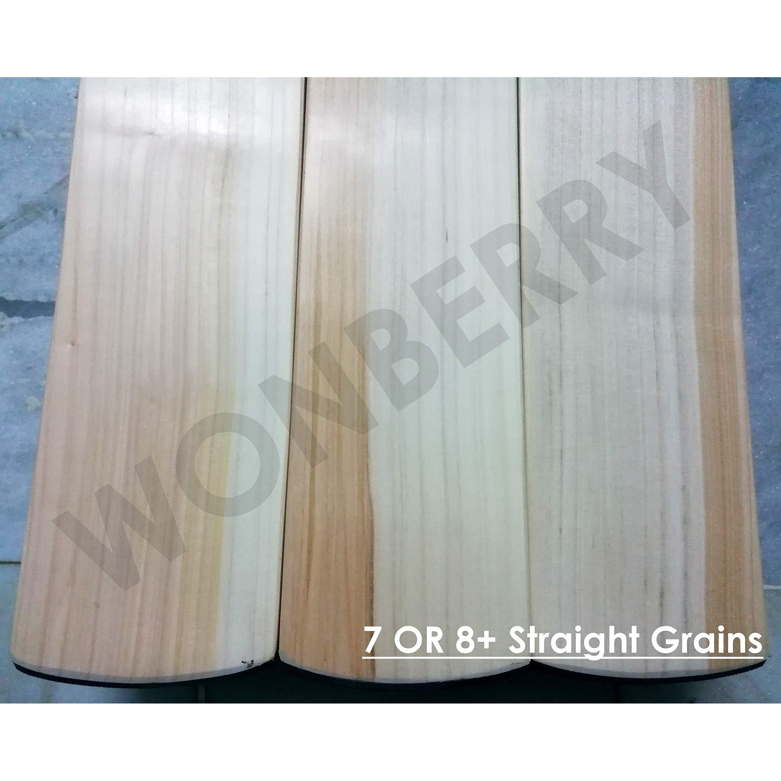 Wonberry Knocked Big Edge T20 English Willow Cricket Bat Full SH