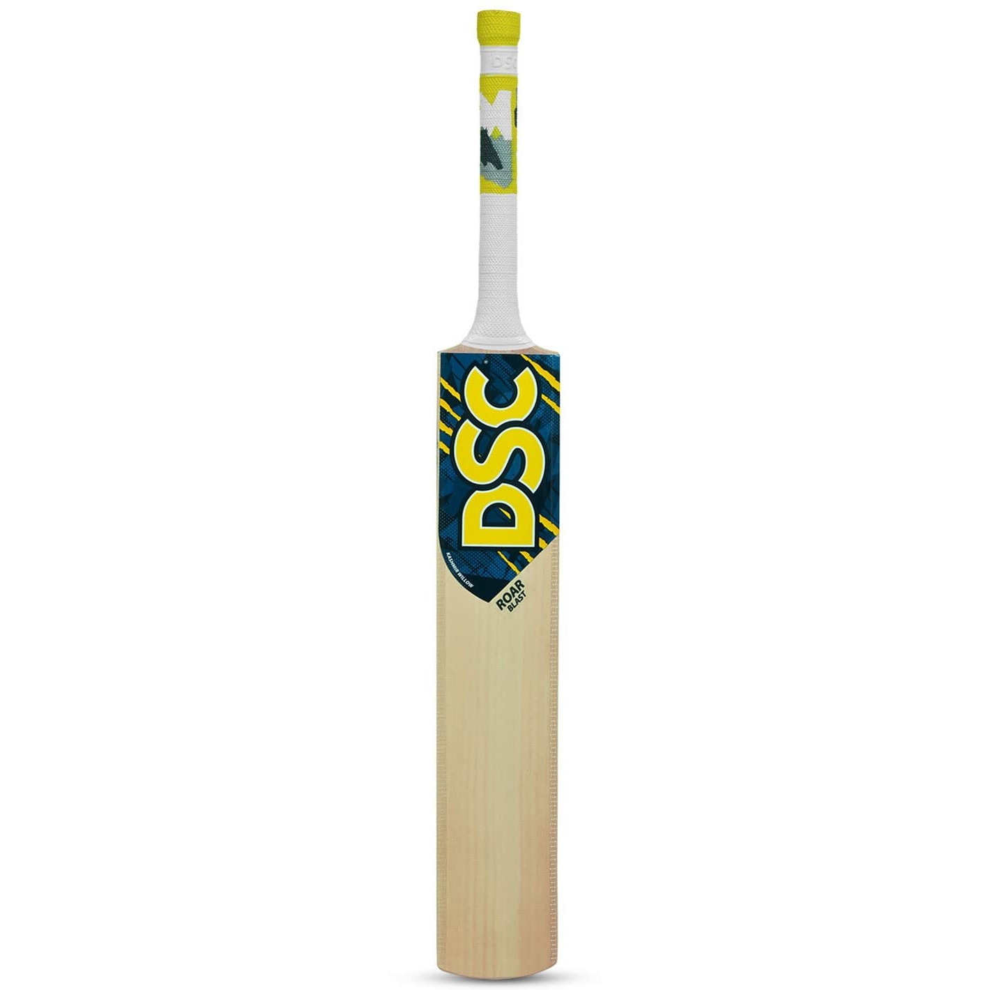 DSC Roar Blast Kashmir Willow Cricket Bat Size 5