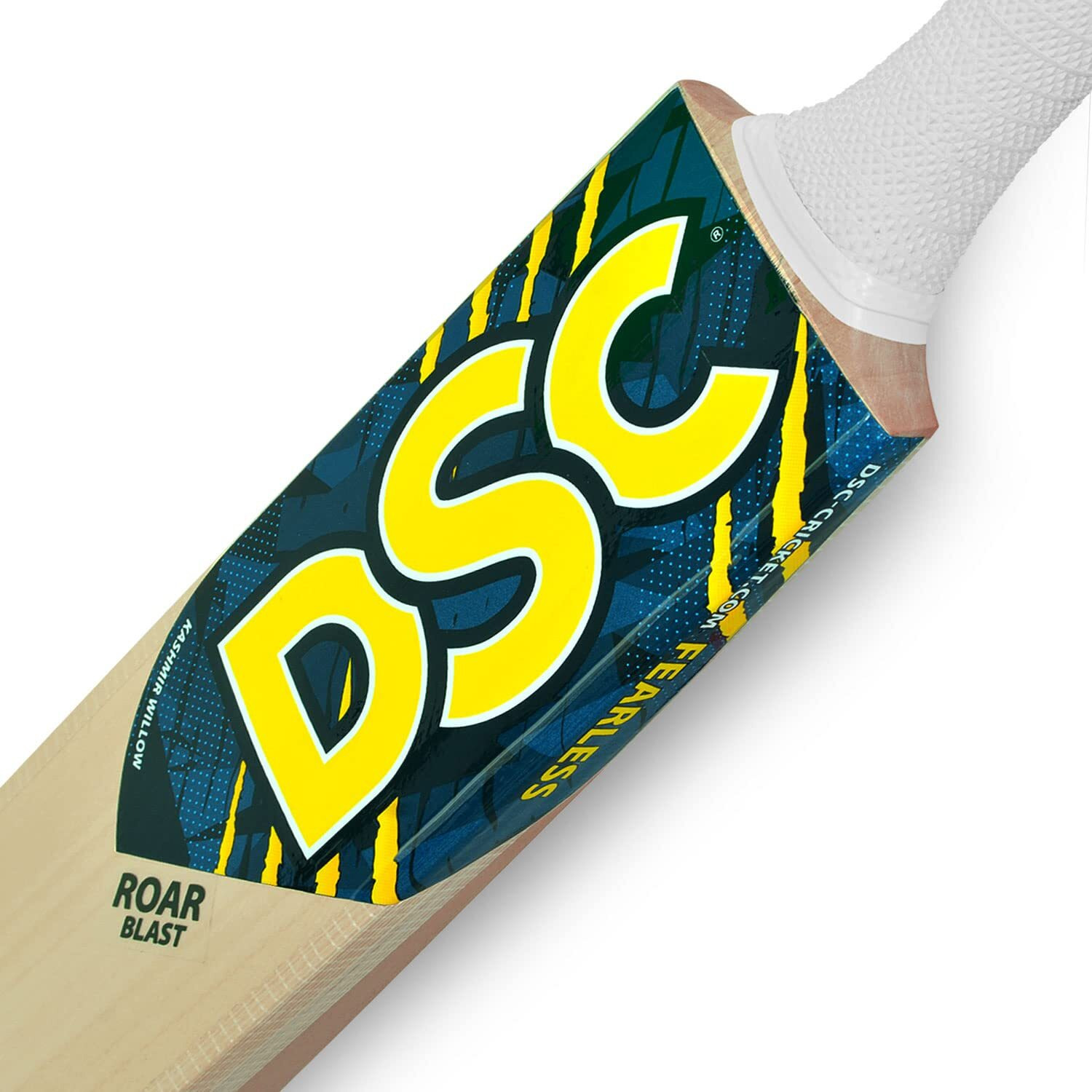DSC Roar Blast Kashmir Willow Cricket Bat Size 5