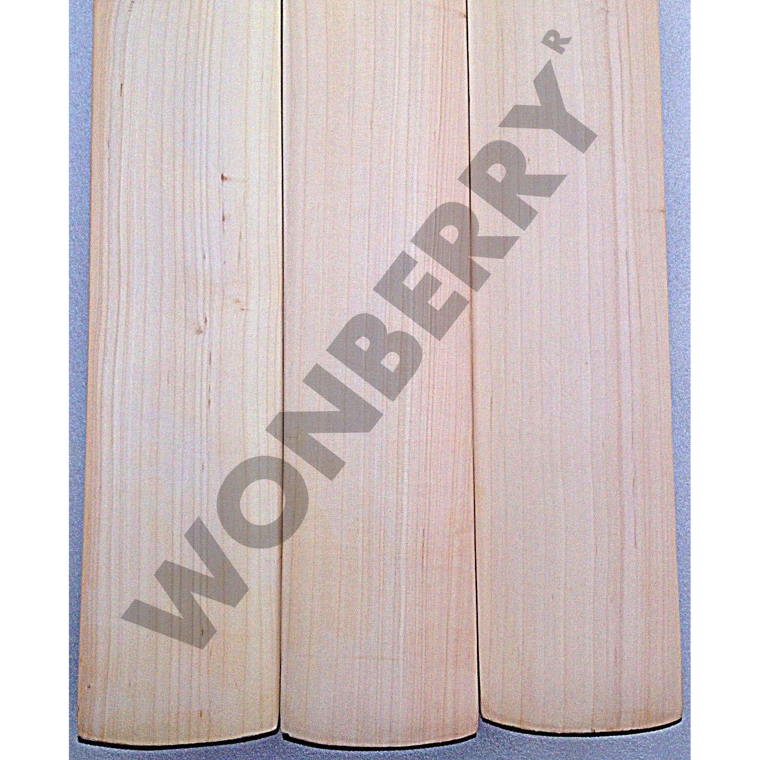 Wonberry Low Mid Profile T20 English Willow Cricket Bat Full Size SH