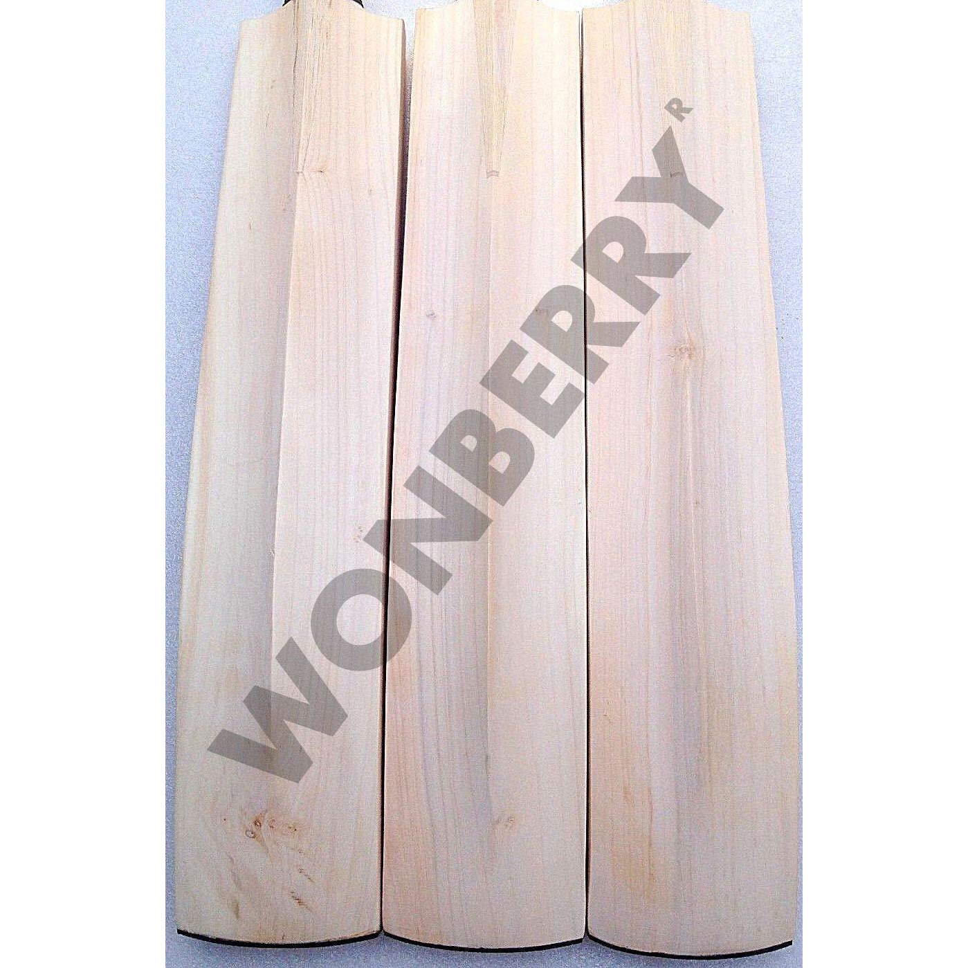 Wonberry Low Mid Profile T20 English Willow Cricket Bat Full Size SH