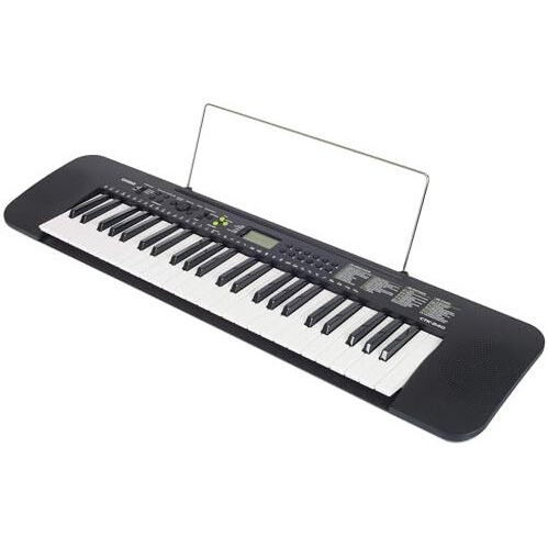 Casio CTK-240 Musical Keyboard