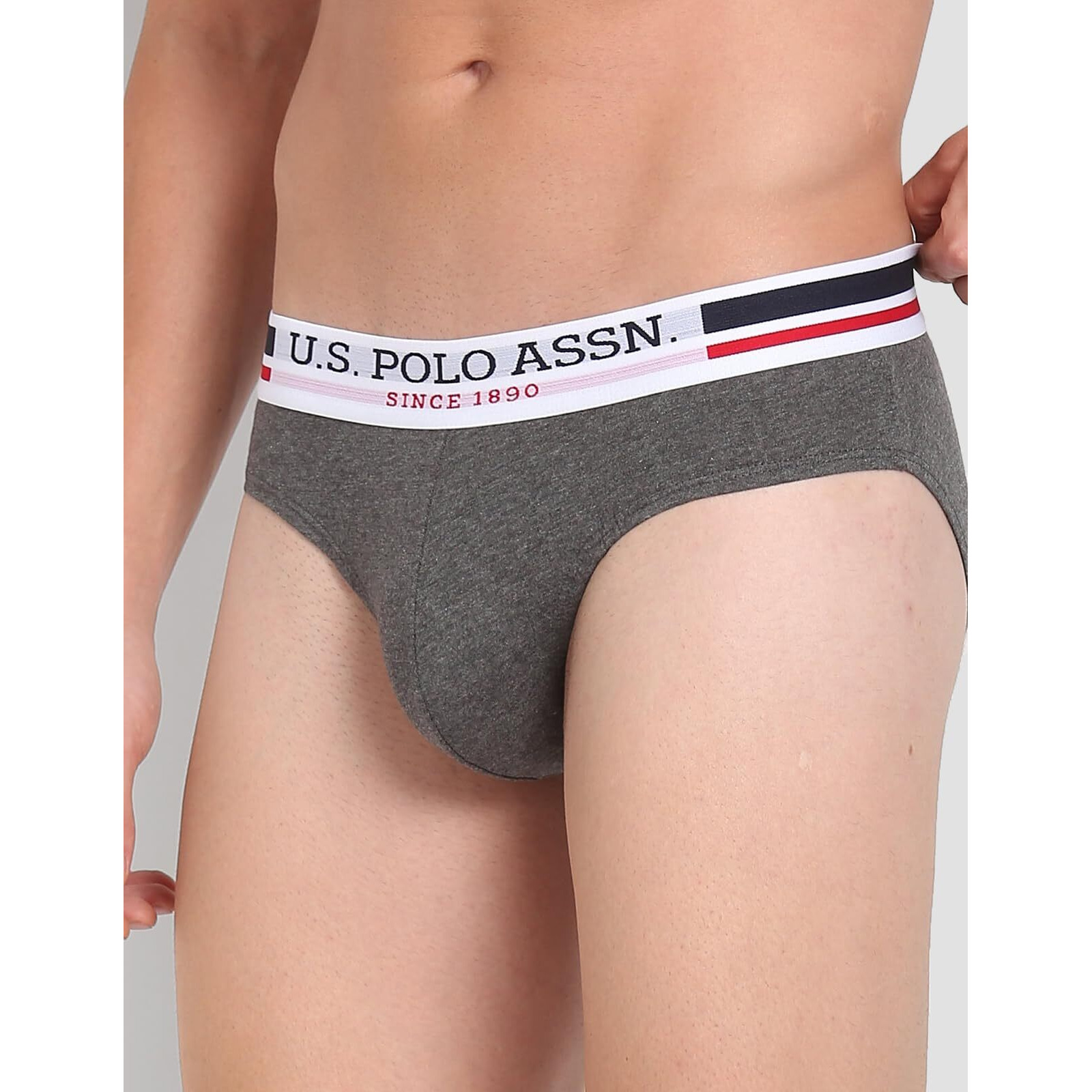 U.S. Polo Assn. Mens Elasticized Waist Pure Cotton I006 Briefs - Pack Of 3 (ANTHRA MEL/RED/NAVY L)