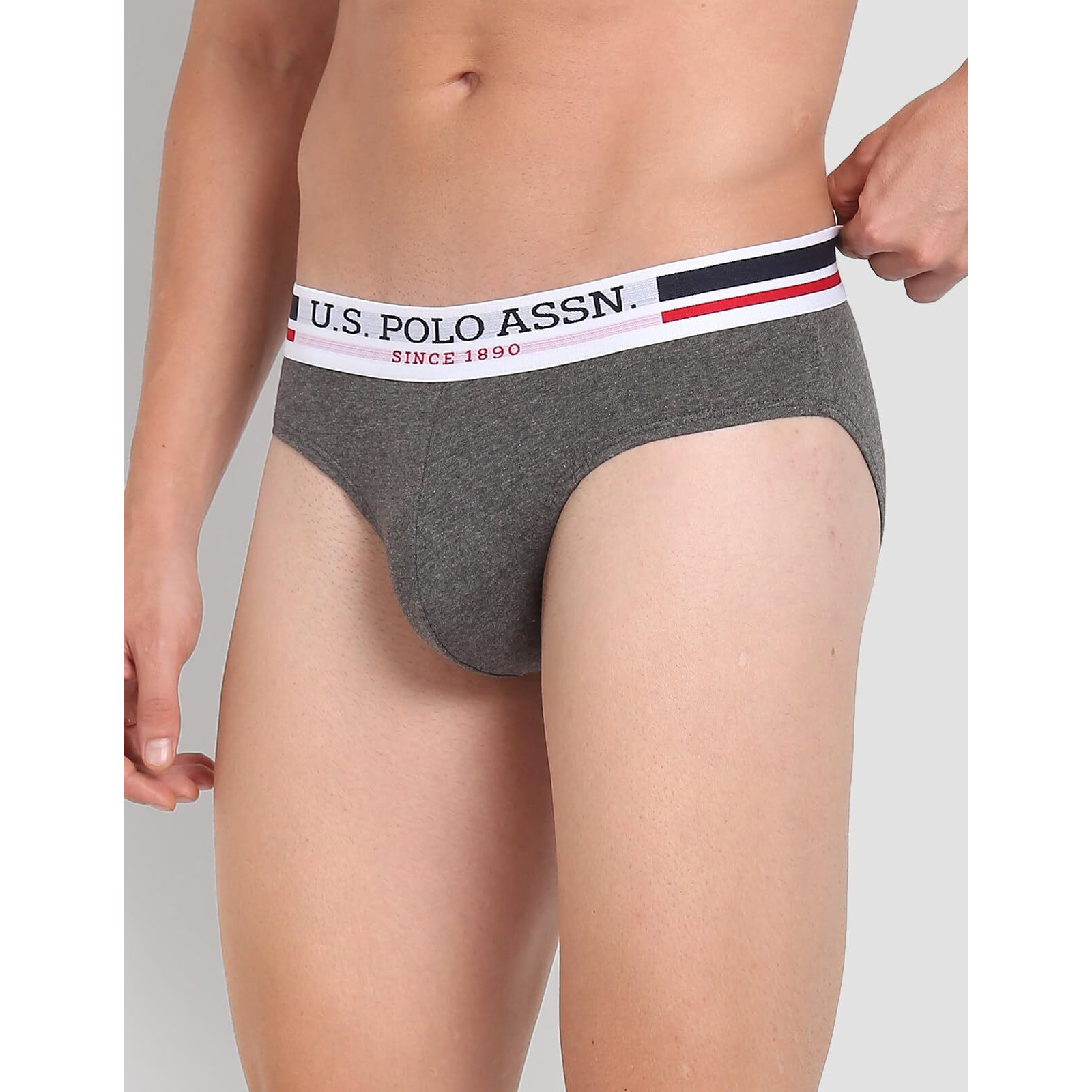 U.S. Polo Assn. Mens Elasticized Waist Pure Cotton I006 Briefs - Pack Of 3 (ANTHRA MEL/RED/NAVY L)