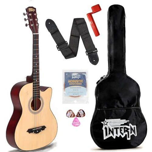 Intern INT-38C Acoustic Guitar Kit (Natural)