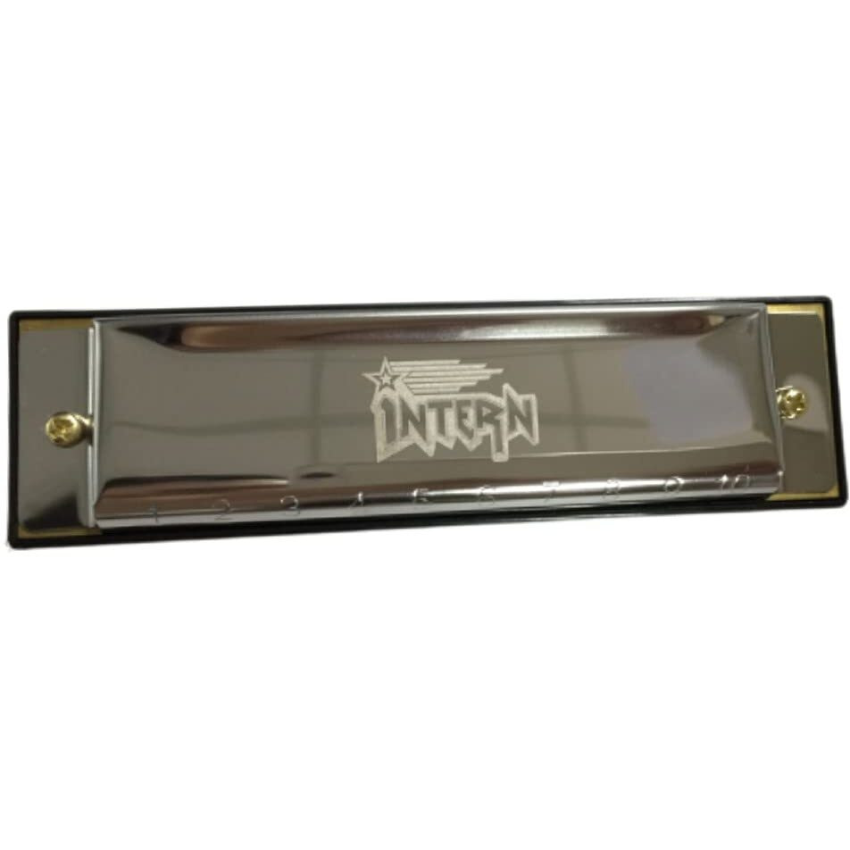 Intern KEY C 10 Hole Diatonic Blues Mouth Organ Harmonica for Professional Player, with case and cleaning cloth (Silver) (INT-HA01C)