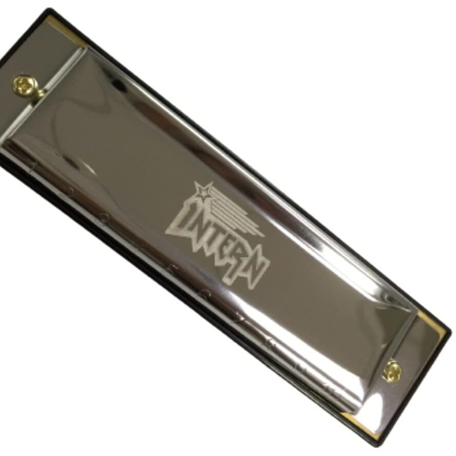 Intern KEY C 10 Hole Diatonic Blues Mouth Organ Harmonica for Professional Player, with case and cleaning cloth (Silver) (INT-HA01C)