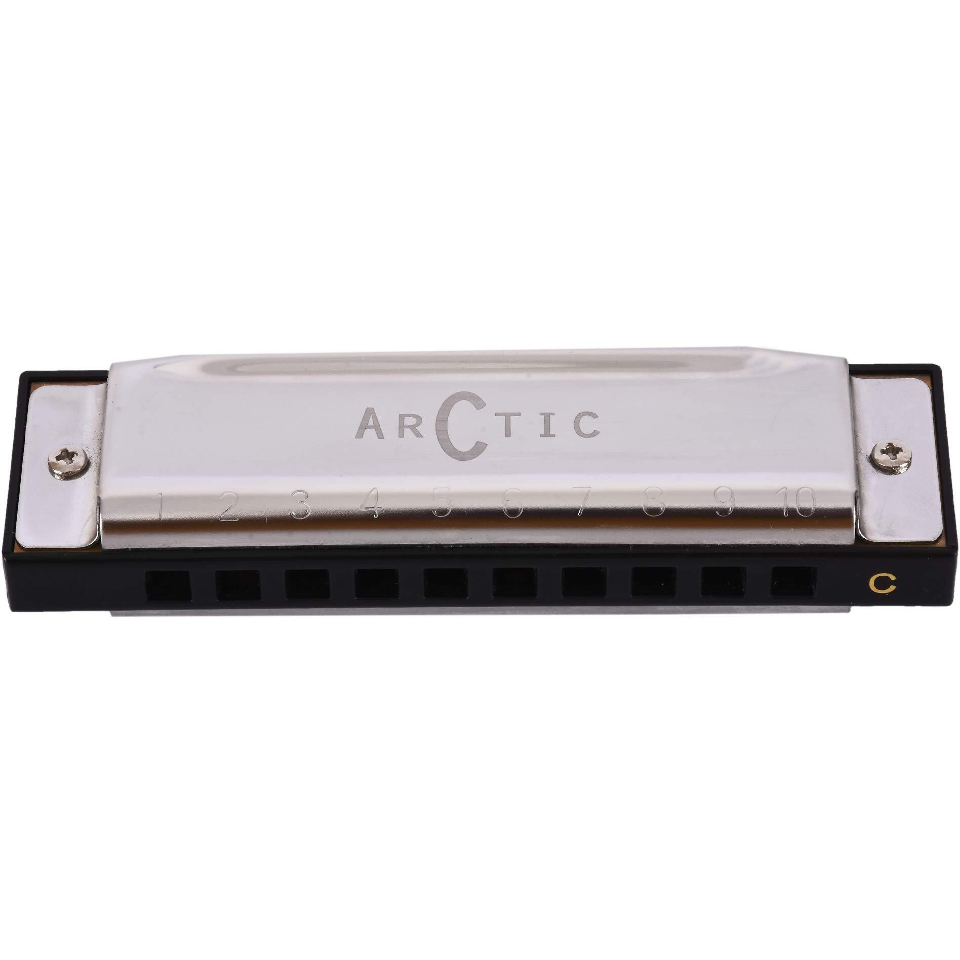 ARCTIC AR-HA10 Key C 10 Hole Diatonic Blues Mouth Organ Harmonica for Professional Player, Silver