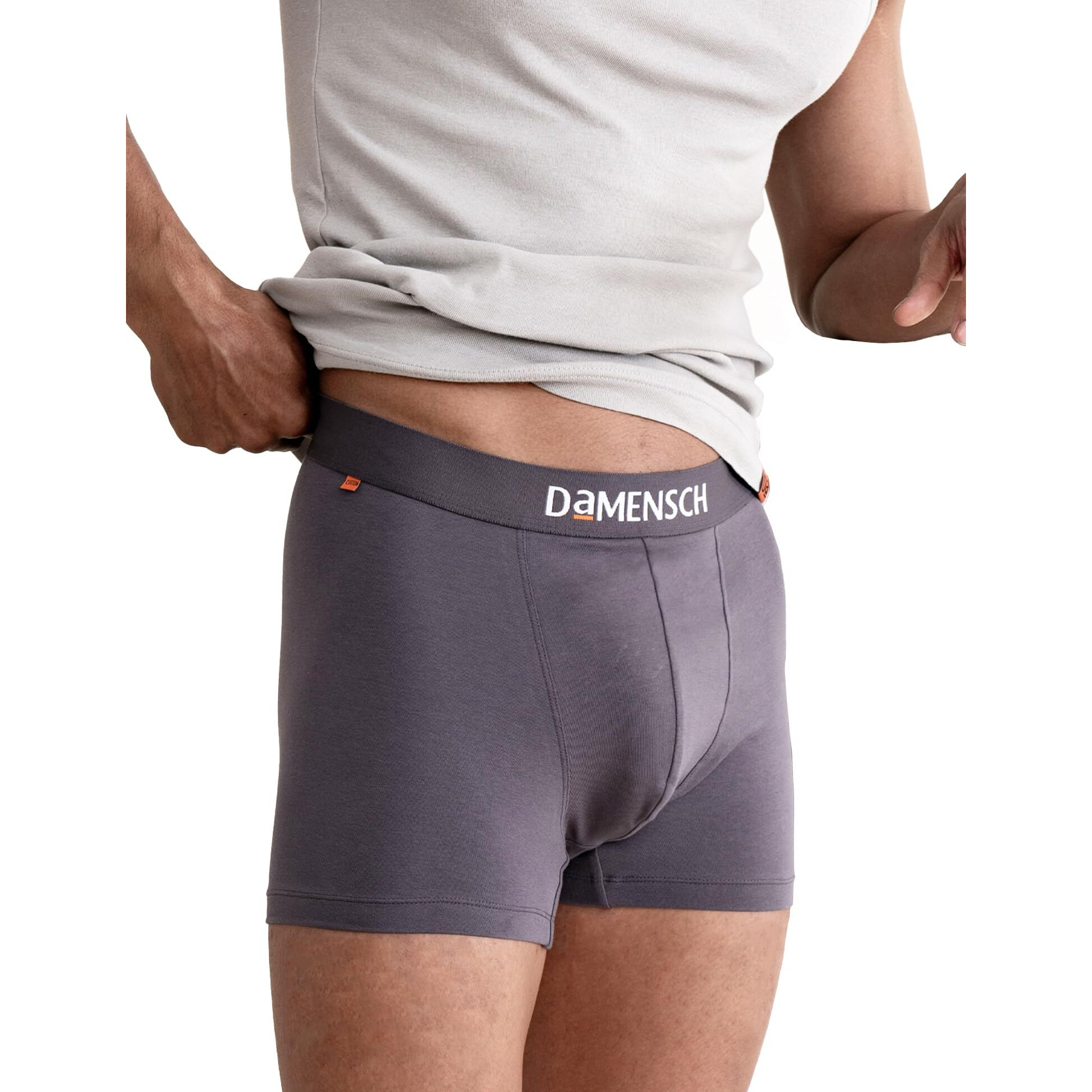 DAMENSCH Men's Deo-Cotton Deodorizing Trunks- Pack of 1- Mineral Grey- Medium