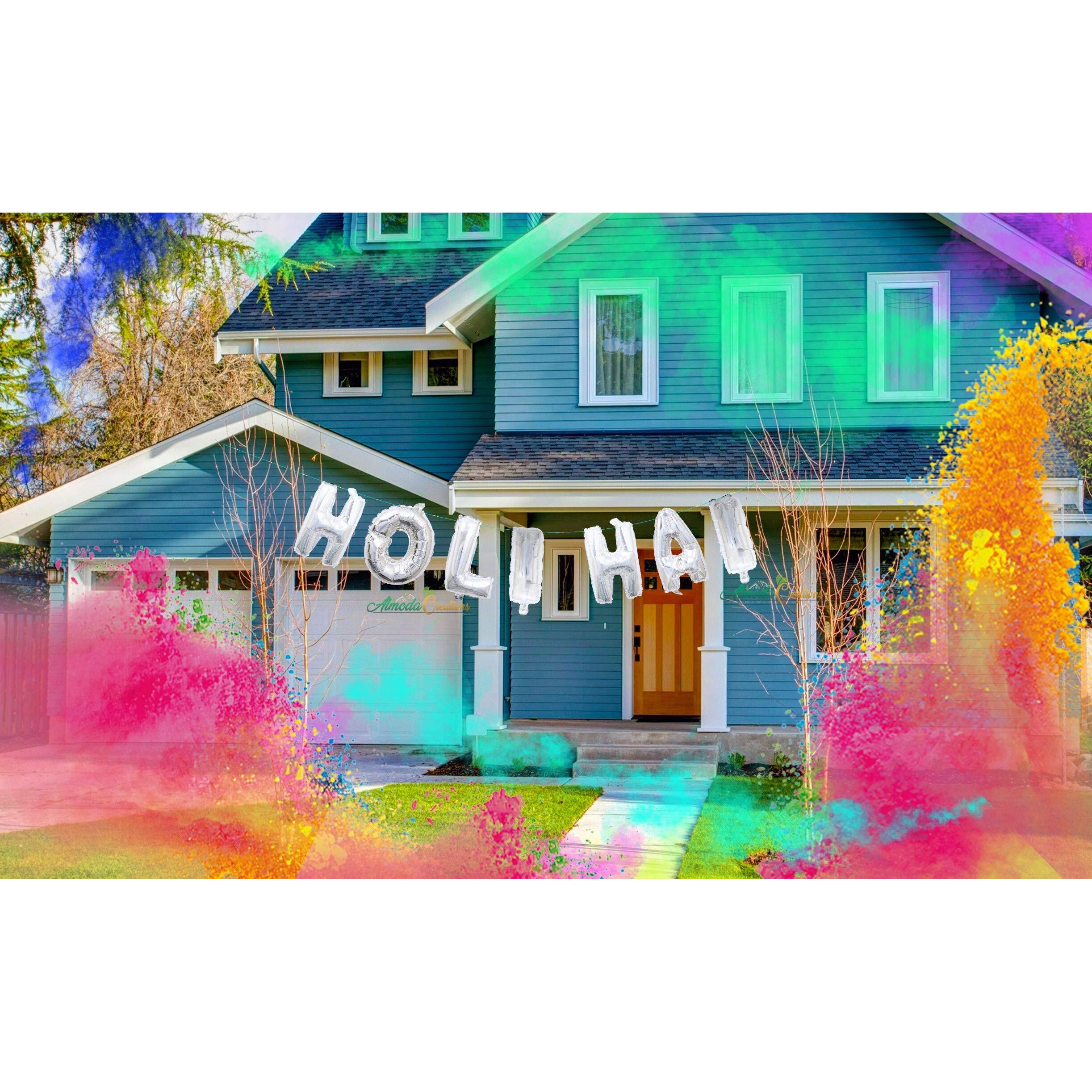 Almoda Creations Holi Decorations Kit, Holi Colours, Holi Balloons, Herbal Gulal For Holi, Rang Barse, Holi Items, Holi Pichkari (Holi Hai Banner (Silver))