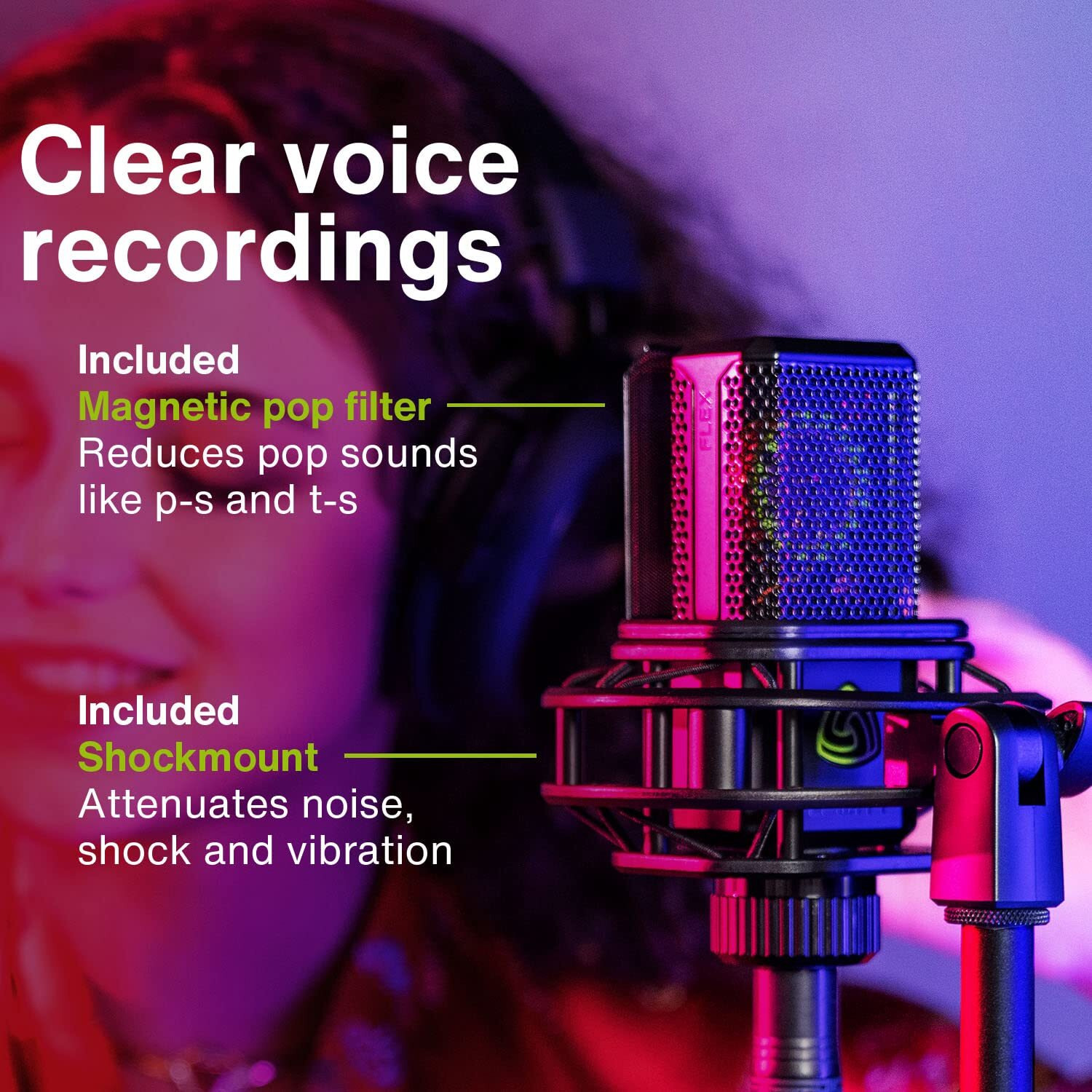 Lewitt 441 Flex Multi-Pattern 1  Large-Diaphragm Studio Condenser Microphone