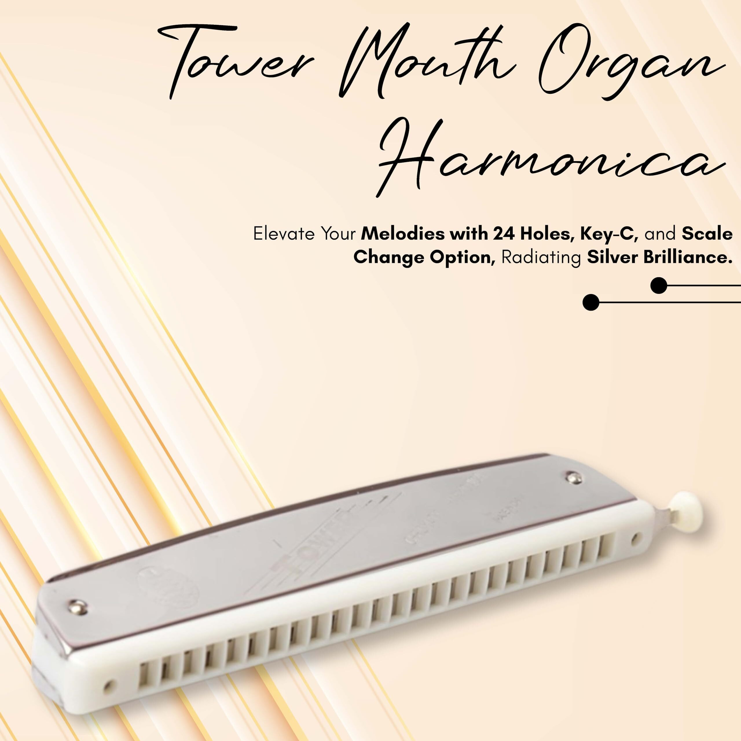 Tower Mouth Organ Harmonica 24 Holes Key-C With Scale Change Option, Silver