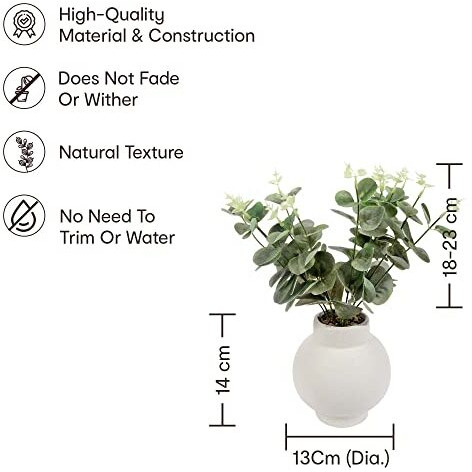 Anko Artificial Eucalyptus Plant with White Vase (Potted Plant) | Decorative Artificial Plant for Home, Office, Bedroom, Balcony, Living Room, Table | Natural Look Artificial Plant for Home Dcor