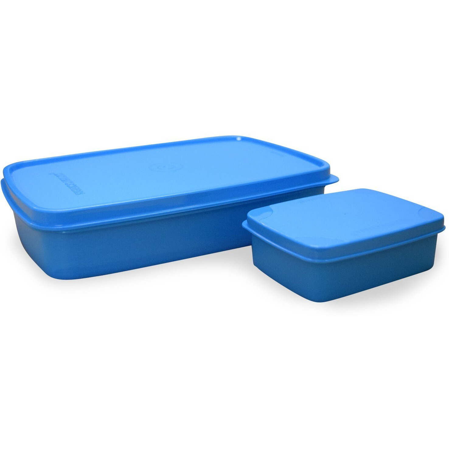 Signora Ware Easy Jumbo Compartment Lunch Box Set Of 2,Bpa Free Plastic,Microwave Safe Food Grade Tiffin Boxes Office School,Leak Proof Air Tight (850Ml+150Ml,Rectangular,Blue,2 Section Storage)
