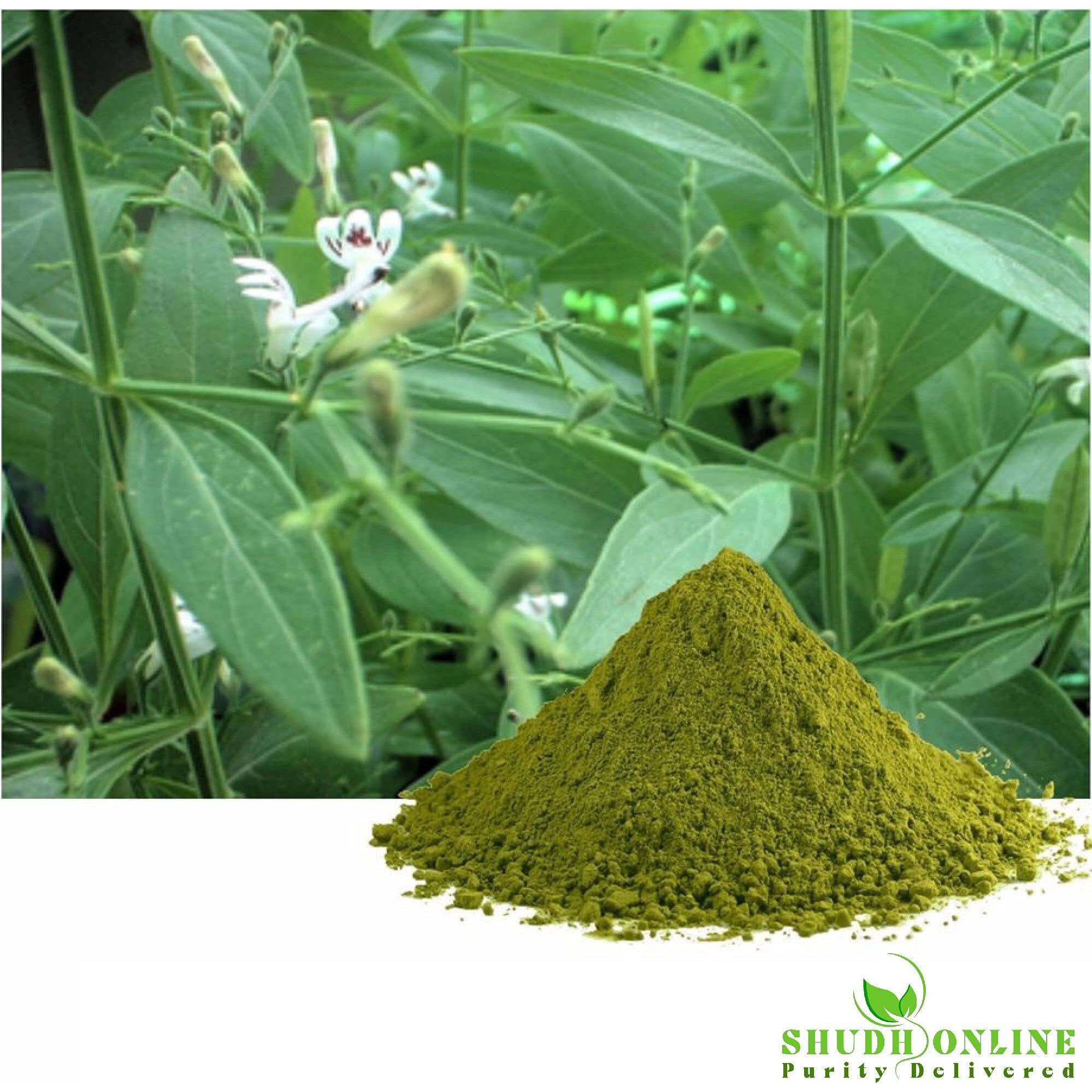 Shudh Online Nilavembu Powder, Nelavemu, Kalmegh, Chirata (200 Grams), Kirayata, Neelavembu