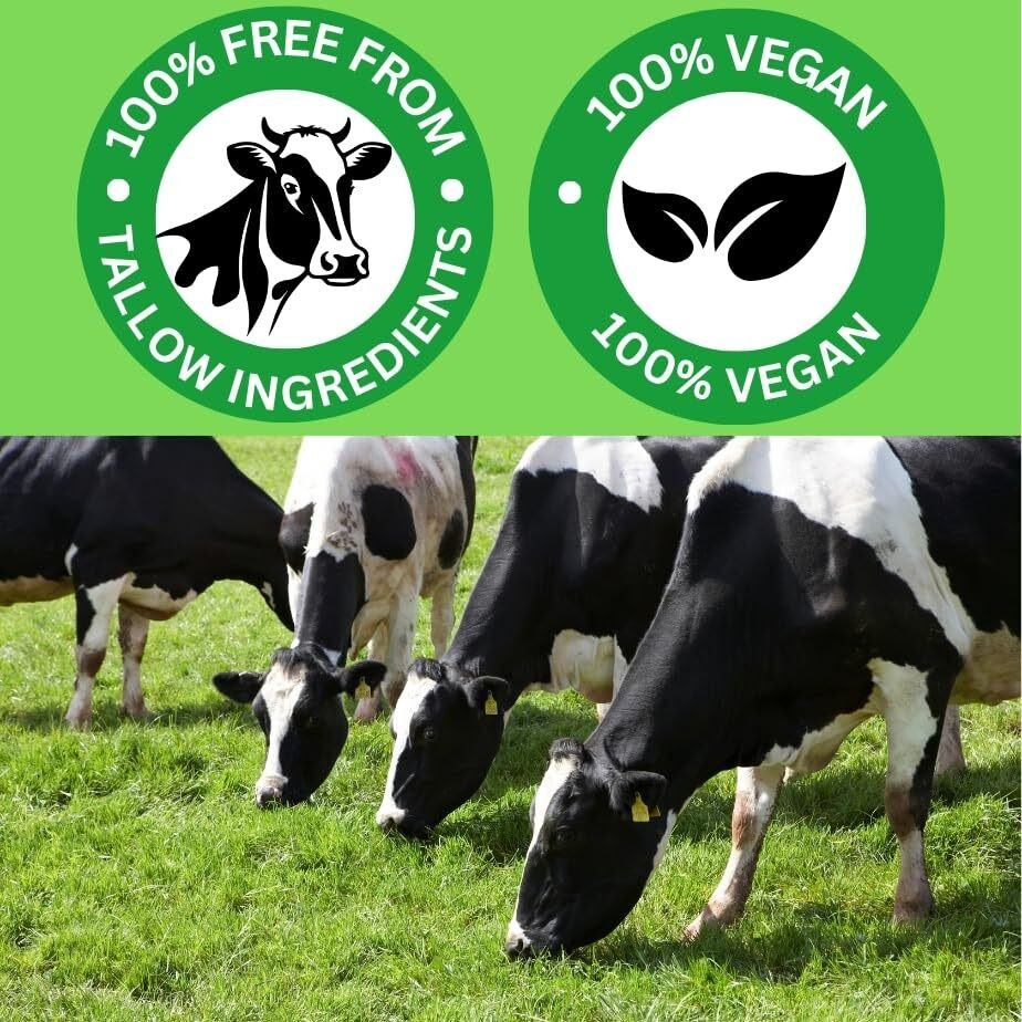 Fabric Conditioner & Softener 2 Liters - Free From Any Tallow Based Ingredient | 100% Vegan | Longlasting Freshness
