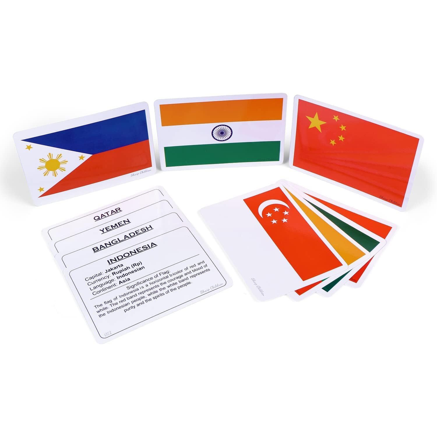 Sharp Children Big Size Language_Skills Flags Flash Cards For Kids, Wipe And Clean, Laminated Activity Flash Cards