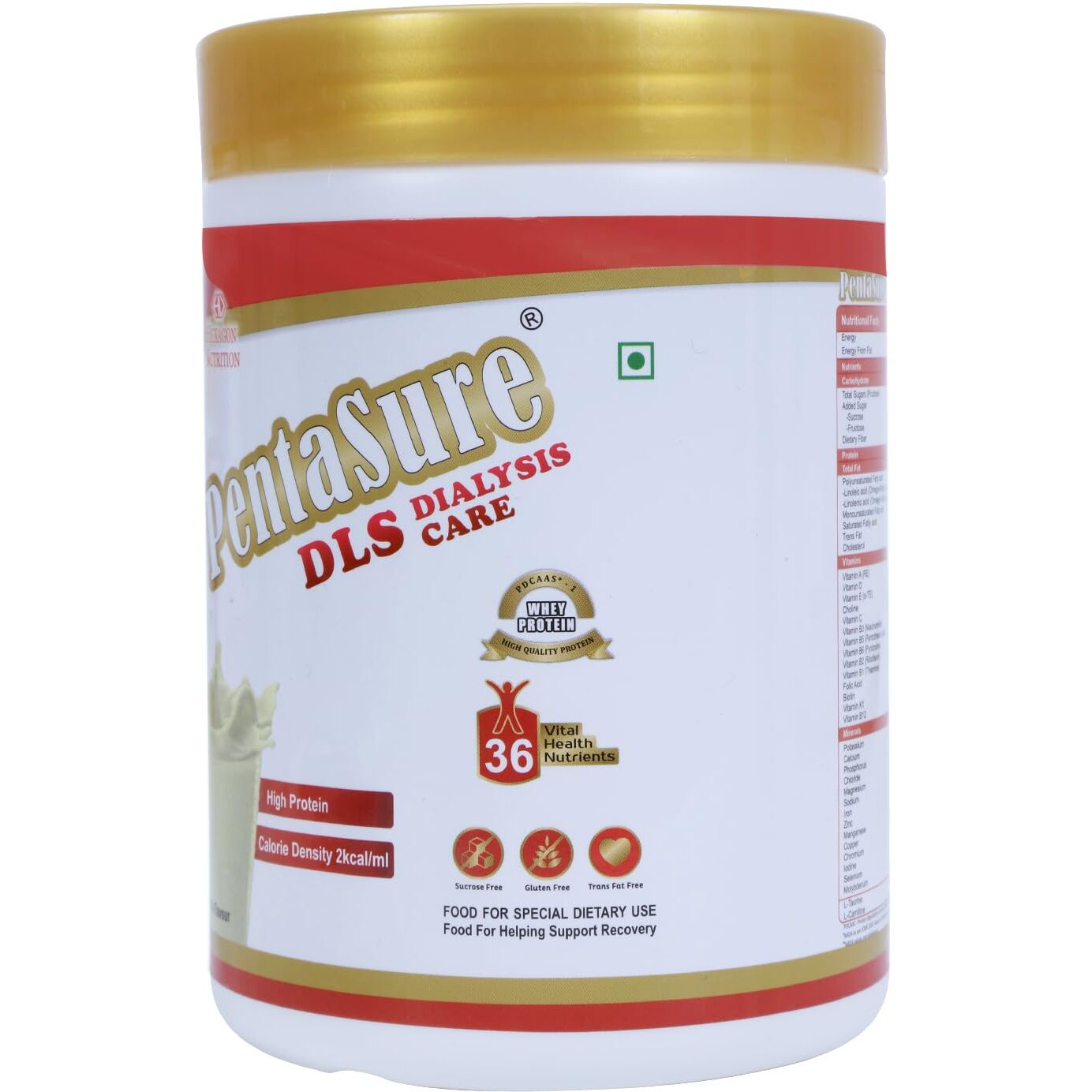 Pentasure Dls Dialysis Care - Vanilla Flavour 400Gm