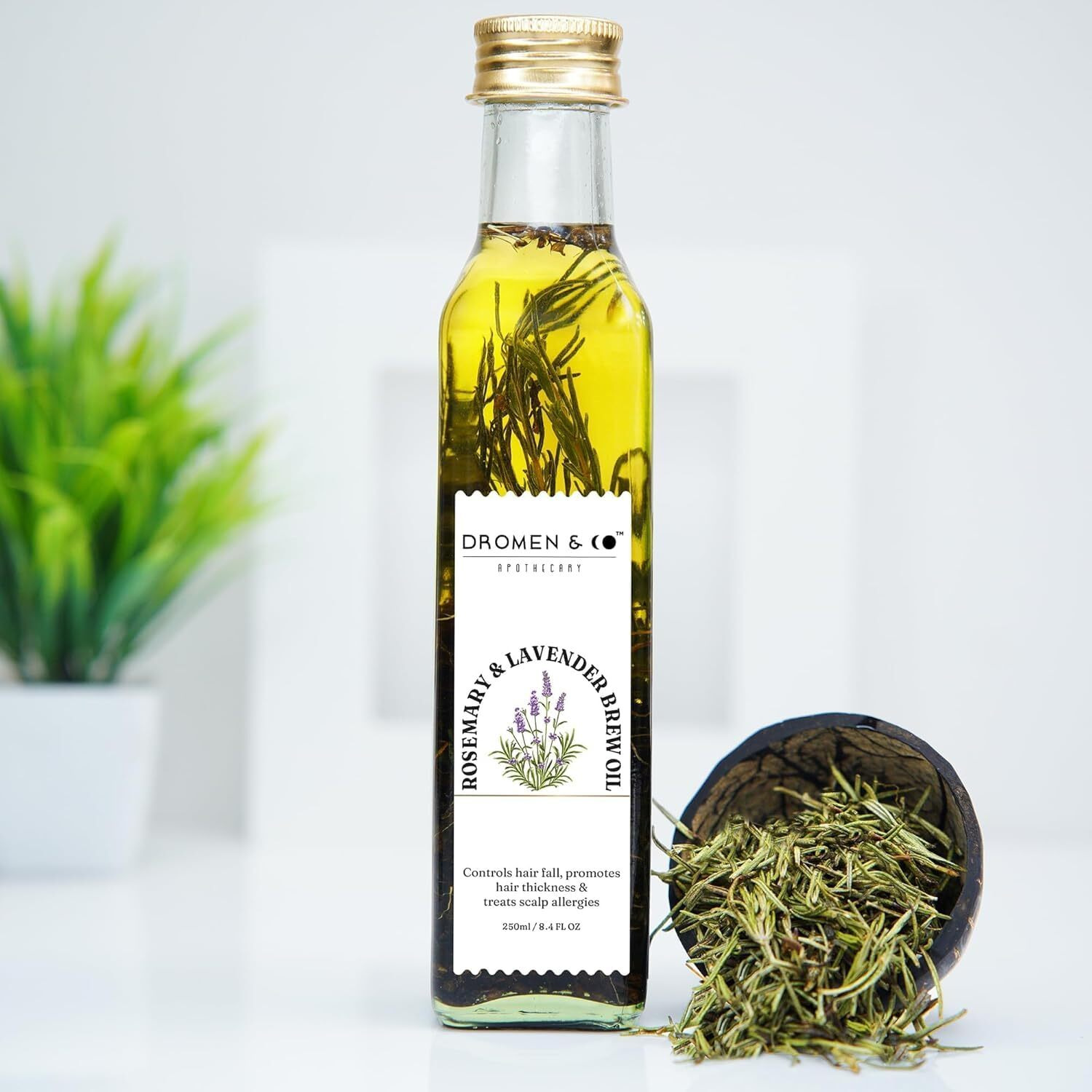 Dromen & Co Rosemary & Lavender Brew Oil | For Hair Growth, Control Dandruff & Hair Fall | Infused With Natural Rosemary & Lavender | Rosemary Hair Oil For Men & Women- 250 Ml