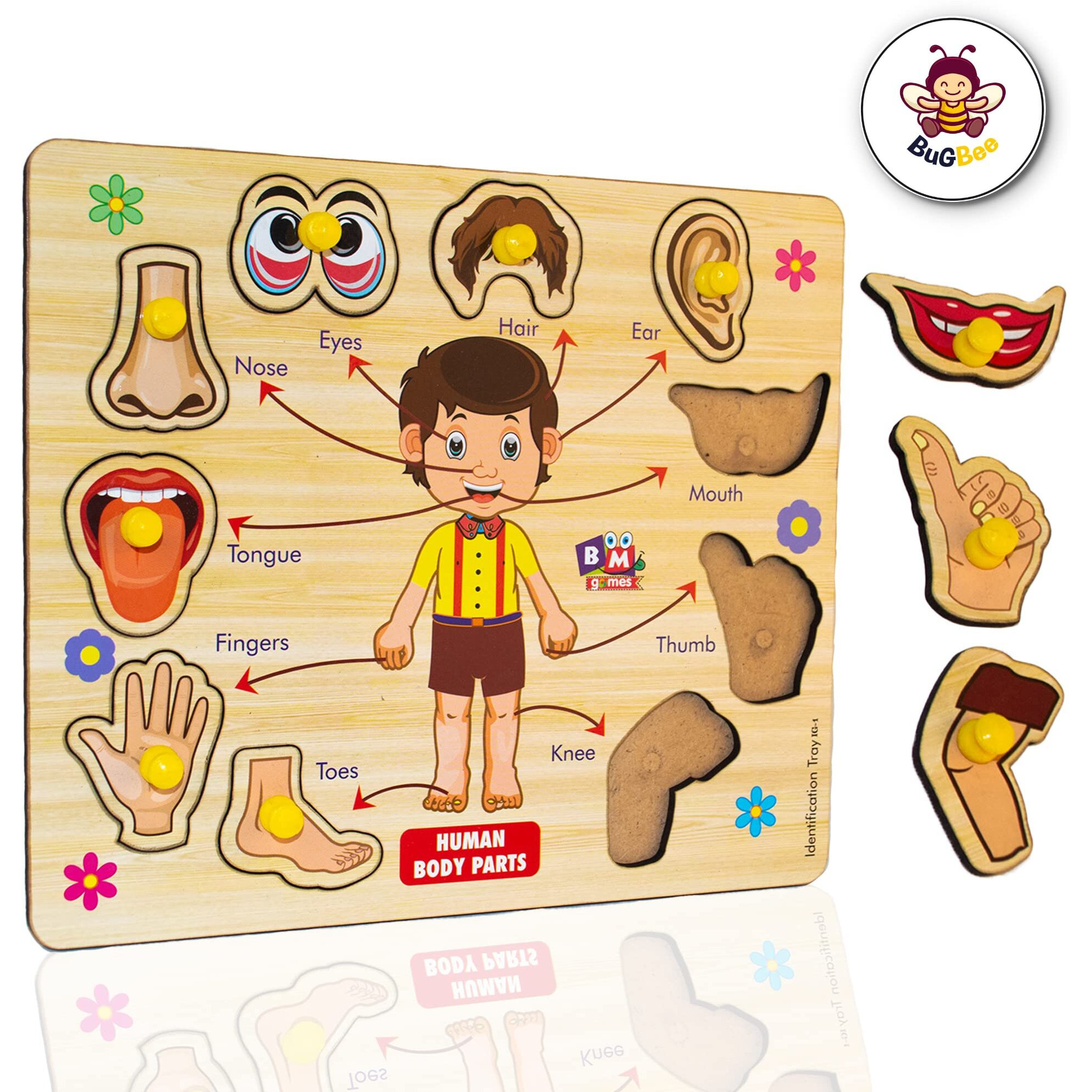 Bugbee Body Parts Toddler Puzzles For Kids Ages 2-4-8 Montessori Wooden Puzzles For Children 3-5 Years Old Preschool Game For Learning Human Body Parts Anatomy Skeleton - Gift Toys For Boy And Girl
