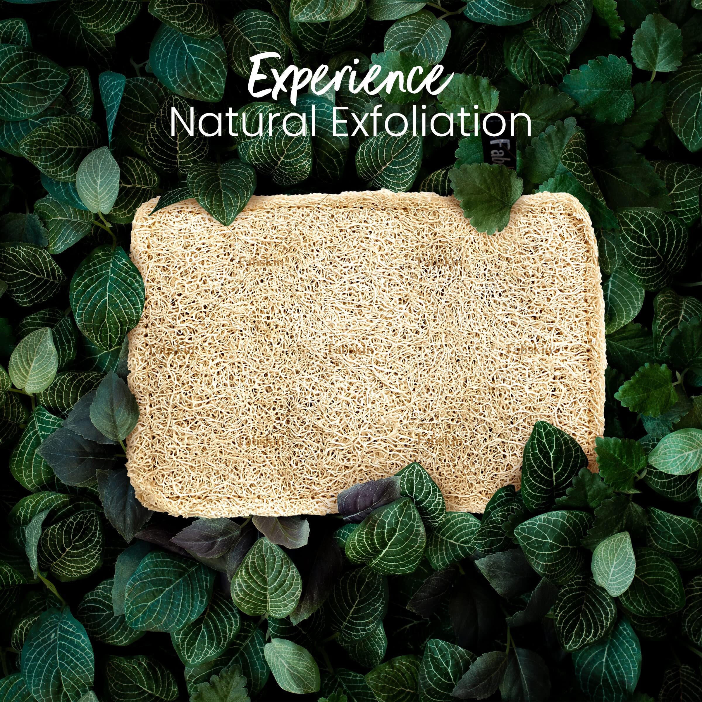 Fabskin Natural Organic Sun Dried Bath Loofah I Body Sponge Scrubber For Bathing | For Men & Women I Organic Luffa For Bath Shower Skin Exfoliation (Pack Of 1)