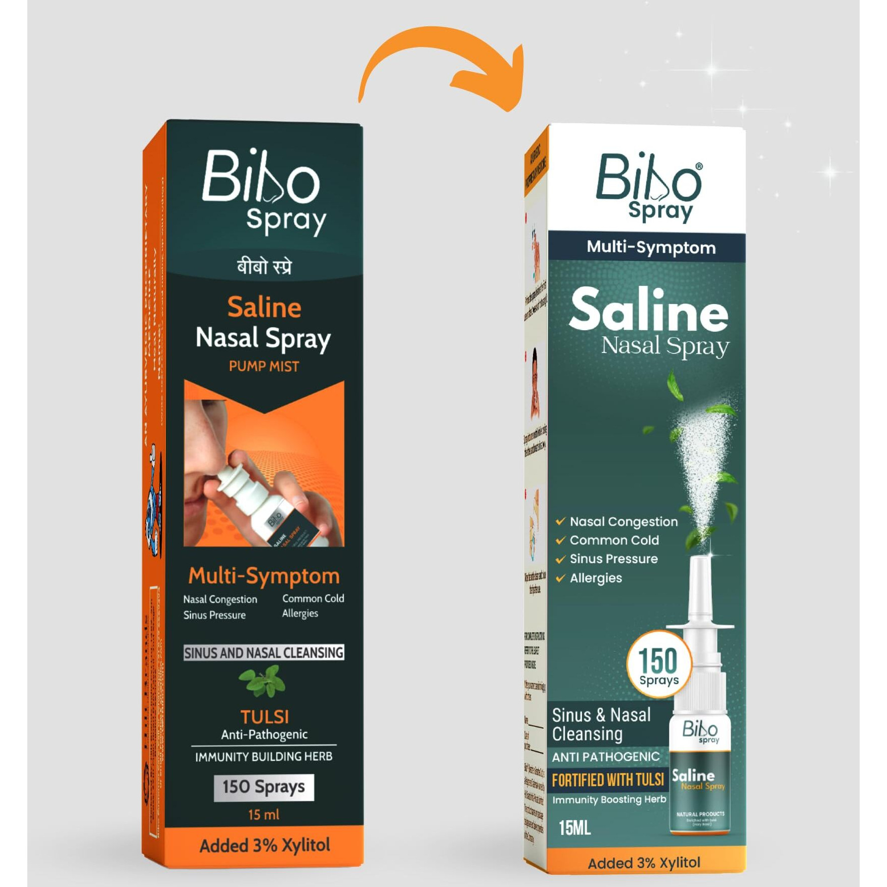 Bibo Spray | Saline Nasal Spray | Fortified With Tulsi & Xylitol | Immunity Booster | Pump Spray | Premium Ayurveda | 15Ml