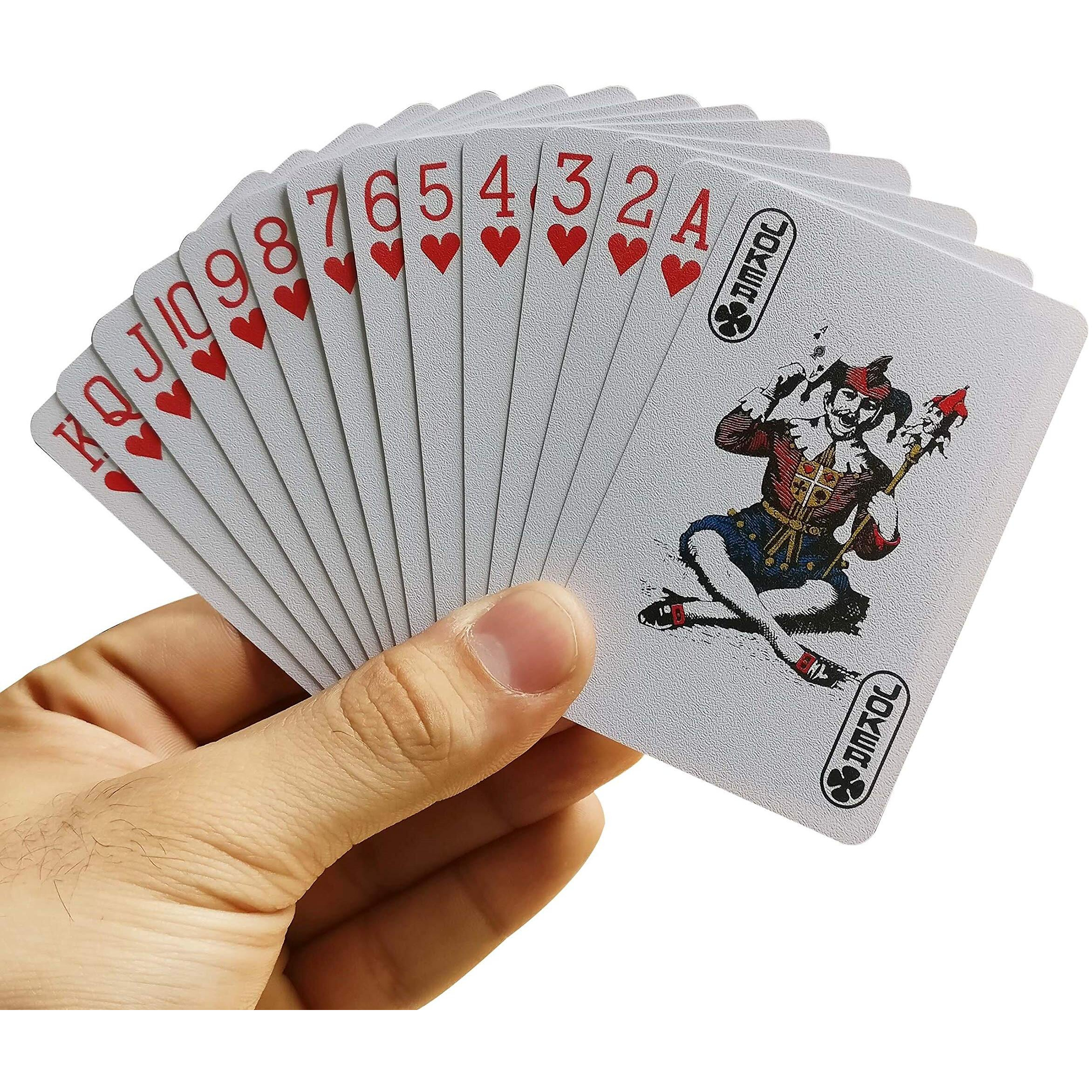 The Ace Card Company Premium Plastic Playing Card Game With Case (2 Decks)For Teen - Made In India, Bridge Size, Waterproof - Multicolor, Pack Of 2
