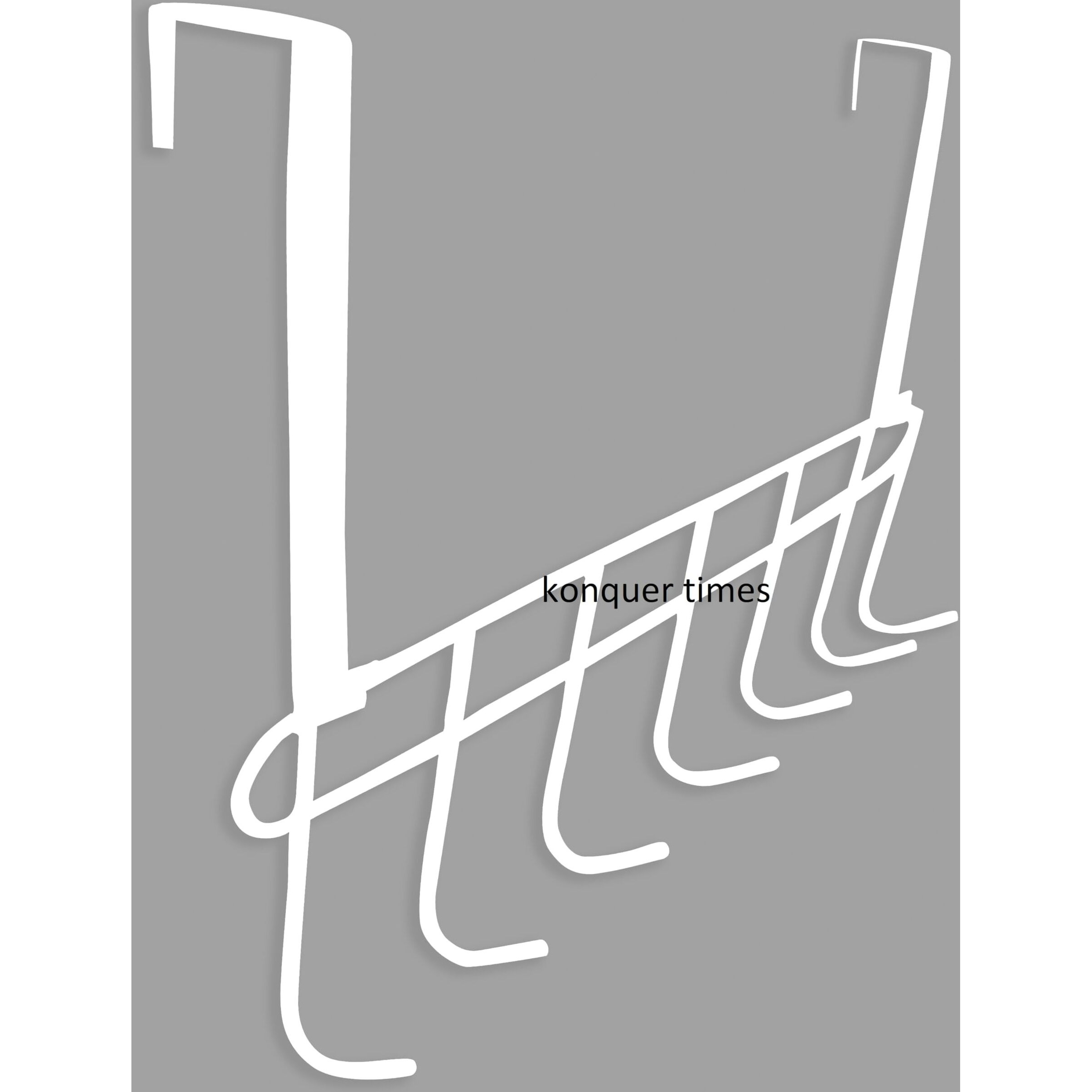 Konquer Times Heavy Duty Stainless Steel Over The Door Hook Hanger Organizer/Wall Hook Rack, No Drilling Required (White)