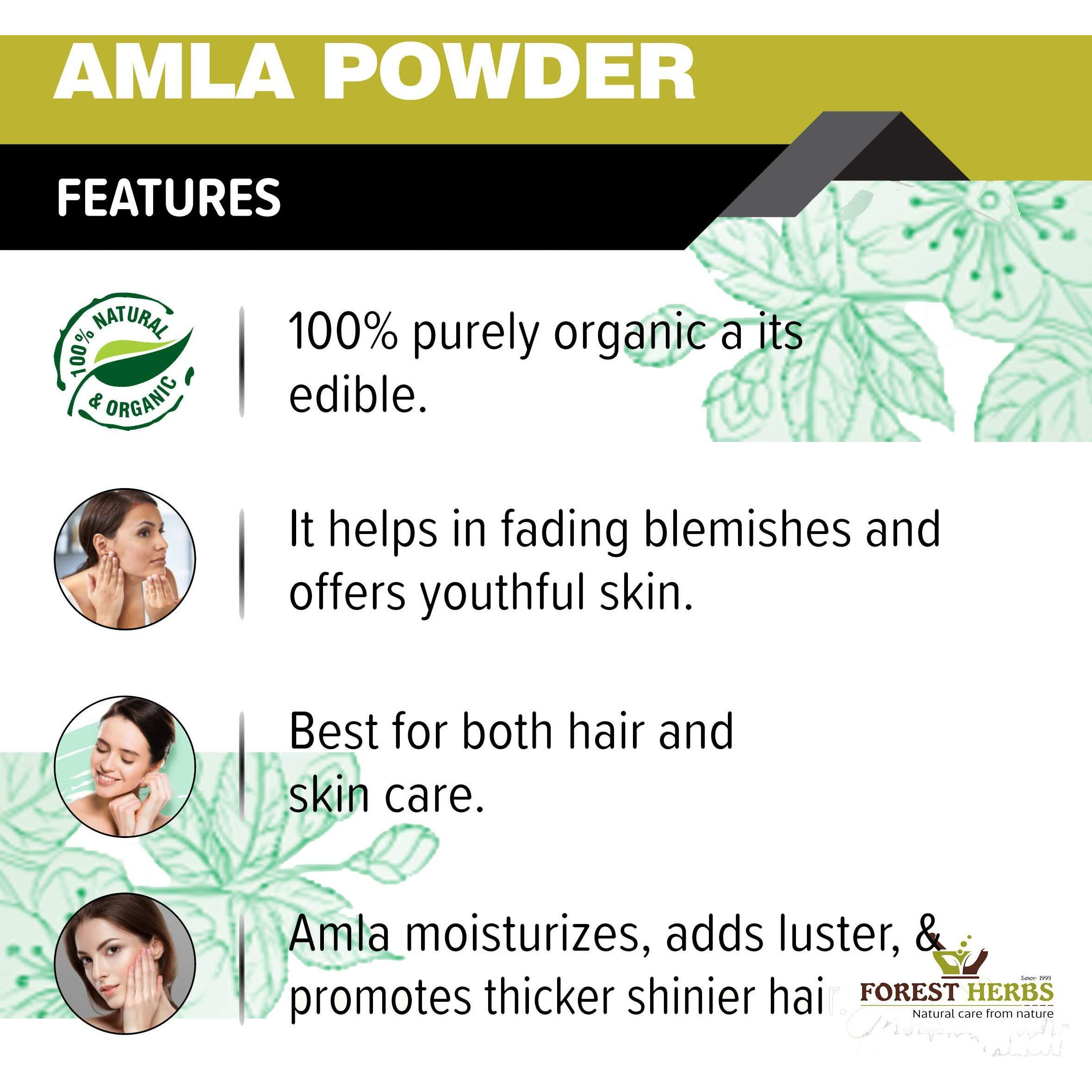 The Forest Herbs Natural Care From Nature 100% Natural Organic Amla, Shikakai, Bhringraj, Hibiscus, Henna And Indigo Powder For Hair Care Combo Each 100Gms
