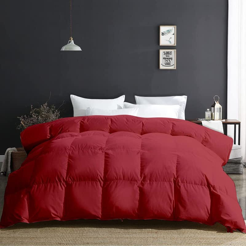 Razzai Mammayo 500 Gsm Winter Comforter Premium Collection Quilted Comforter (92" X 106" Inches/233Cm X 269Cm) - King Size Comforter|Burgundy| Lightweight| Microfibre