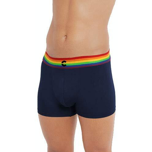 Freecultr Men's Underwear Anti Bacterial Micromodal Airsoft Trunk - Non Itch No Chaffing Sweat Proof (Pride Waistband) Size S Pack Of 3-Pride Prussian Blue,Pride Ash Grey,Pride Pot Black