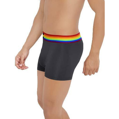 Freecultr Men's Underwear Anti Bacterial Micromodal Airsoft Trunk - Non Itch No Chaffing Sweat Proof (Pride Waistband) Size S Pack Of 3-Pride Prussian Blue,Pride Ash Grey,Pride Pot Black