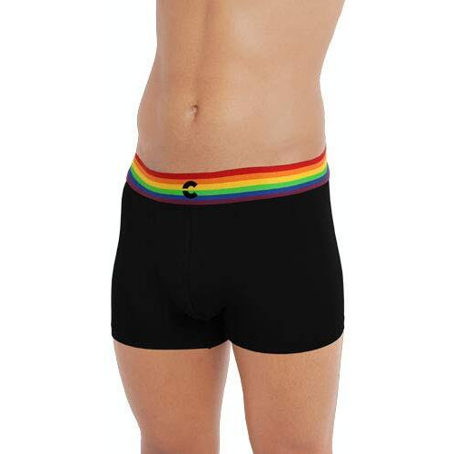 Freecultr Men's Underwear Anti Bacterial Micromodal Airsoft Trunk - Non Itch No Chaffing Sweat Proof (Pride Waistband) Size S Pack Of 3-Pride Cloud White,Pride Pot Black,Pride Prussian Blue