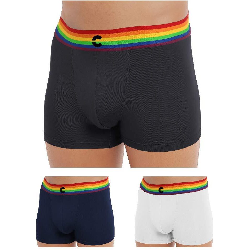 Freecultr Men's Underwear Anti Bacterial Micromodal Airsoft Trunk - Non Itch No Chaffing Sweat Proof (Pride Waistband) Size S Pack Of 3-Pride Cloud White,Pride Prussian Blue,Pride Ash Grey