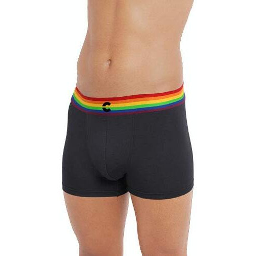 Freecultr Men's Underwear Anti Bacterial Micromodal Airsoft Trunk - Non Itch No Chaffing Sweat Proof (Pride Waistband) Size S Pack Of 3-Pride Cloud White,Pride Ash Grey,Pride Pot Black