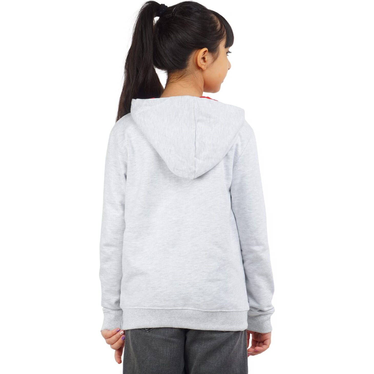 Real Basics Girls Cotton Hooded Sweatshirt(Rb-Ghood-P1-910-Street_Multicolor_9-10 Years)