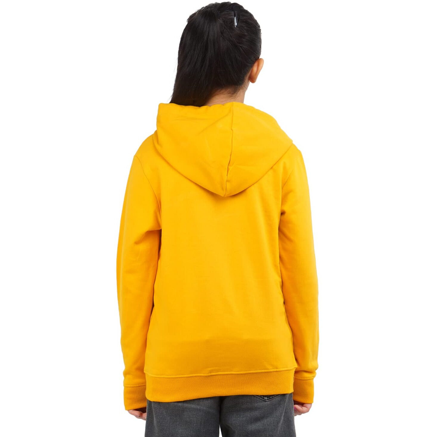Real Basics Girls Cotton Hooded Sweatshirt(Rb-Ghood-P1-910-Guitar_Multicolor_9-10 Years)