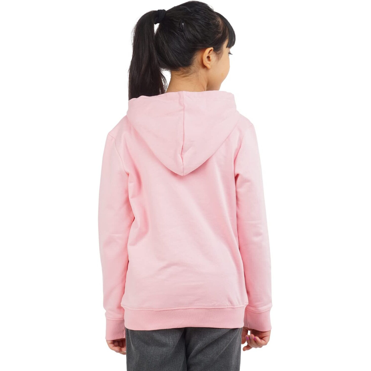 Real Basics Girls Cotton Hooded Regular Sweatshirt(Rb-Ghood-P1-1516-Pink_Multicolor_15-16 Years)