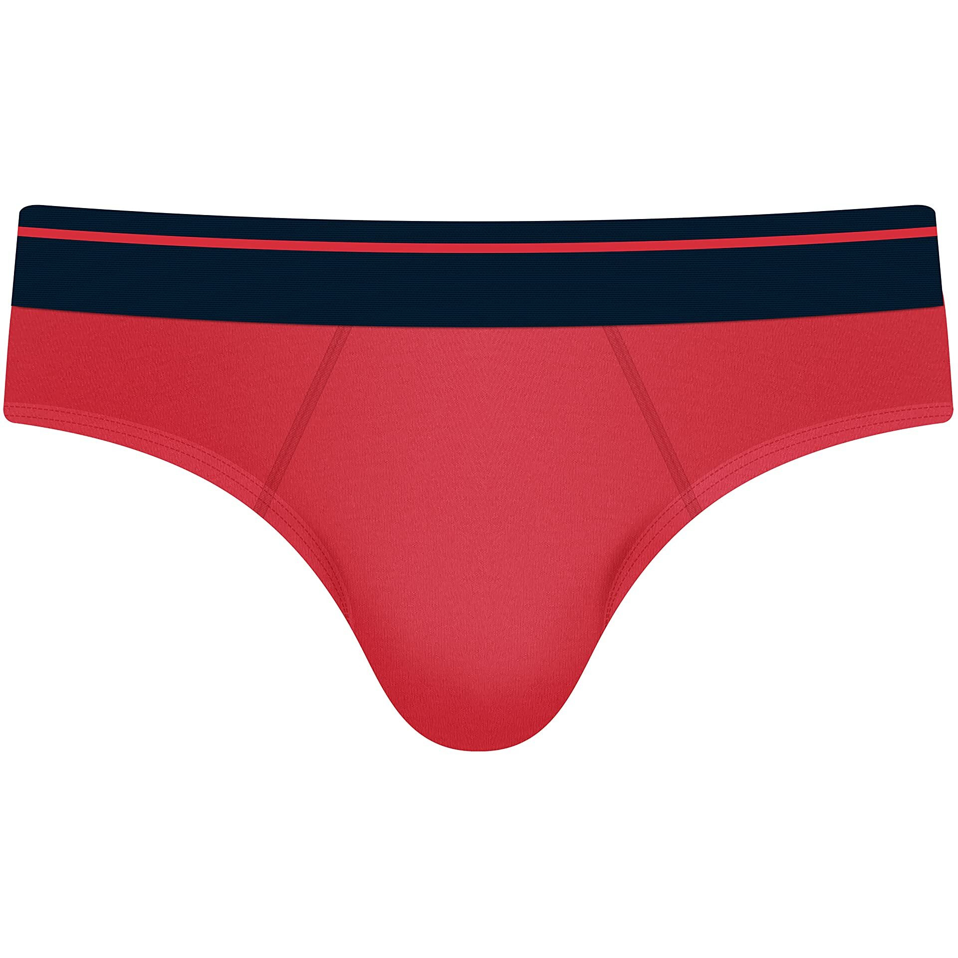 Real Basics Boys Cotton Briefs (Pack Of 3) (Rb-Brief-P3-S2-910_Multicolor_9 Years-10 Years)
