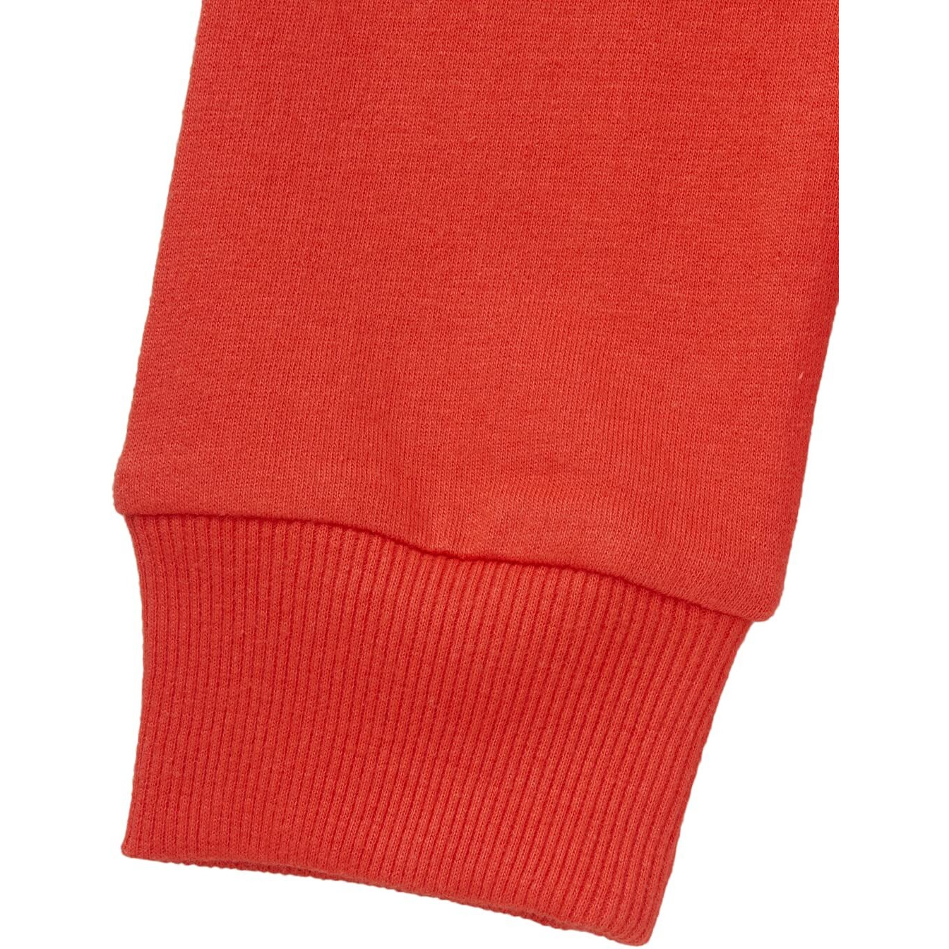 4 Years Boys Sweatshirt By Cub Mcpaws | Cotton Round Neck Full Sleeves Kids Sweatshirt For Boys| Stylish Red Boys Winter Wear| 04-05Y