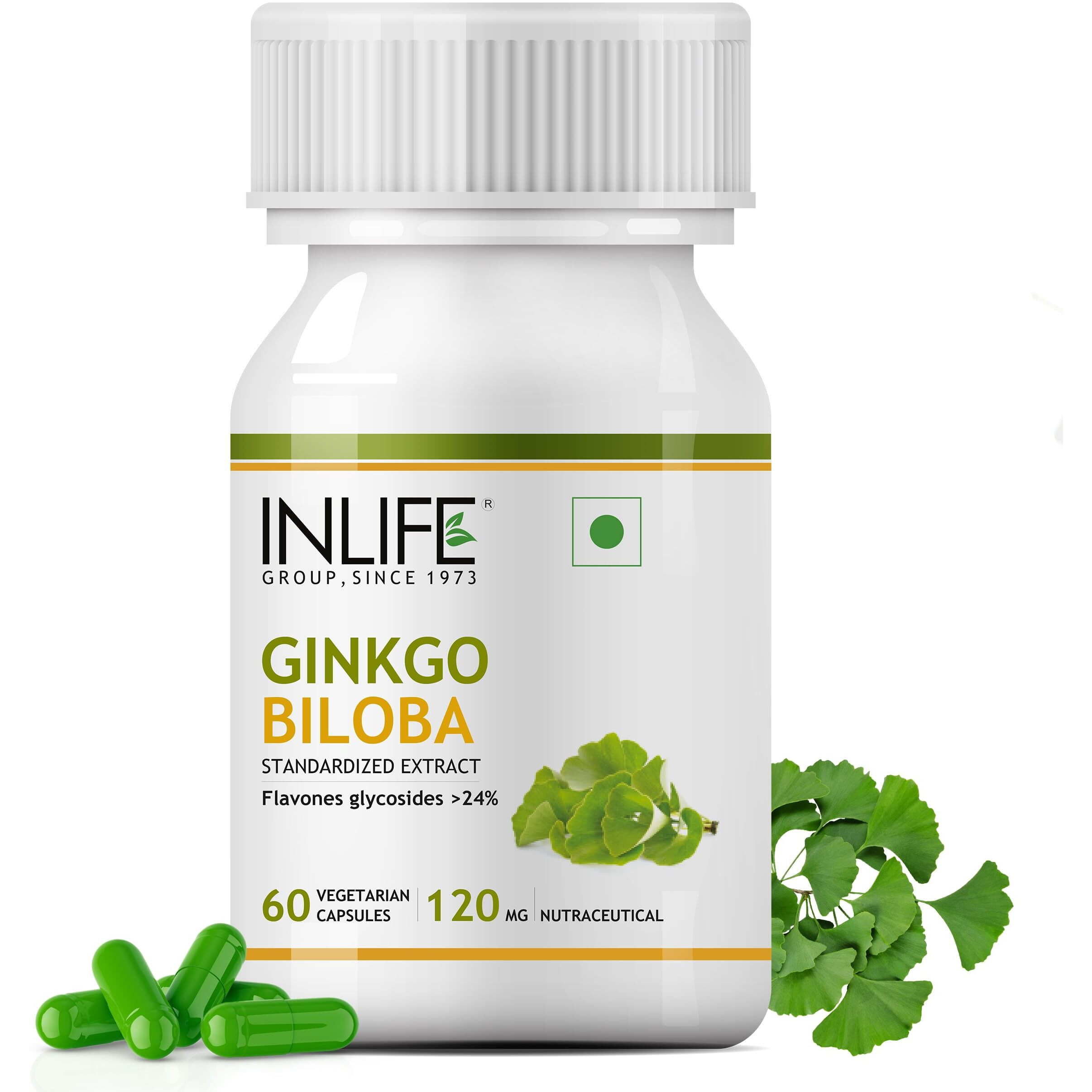 Inlife Ginkgo Biloba Extract Capsules 120Mg | Herbal Supplement | Memory Support - 60 Vegetarian Capsules (Pack Of 1, 60)